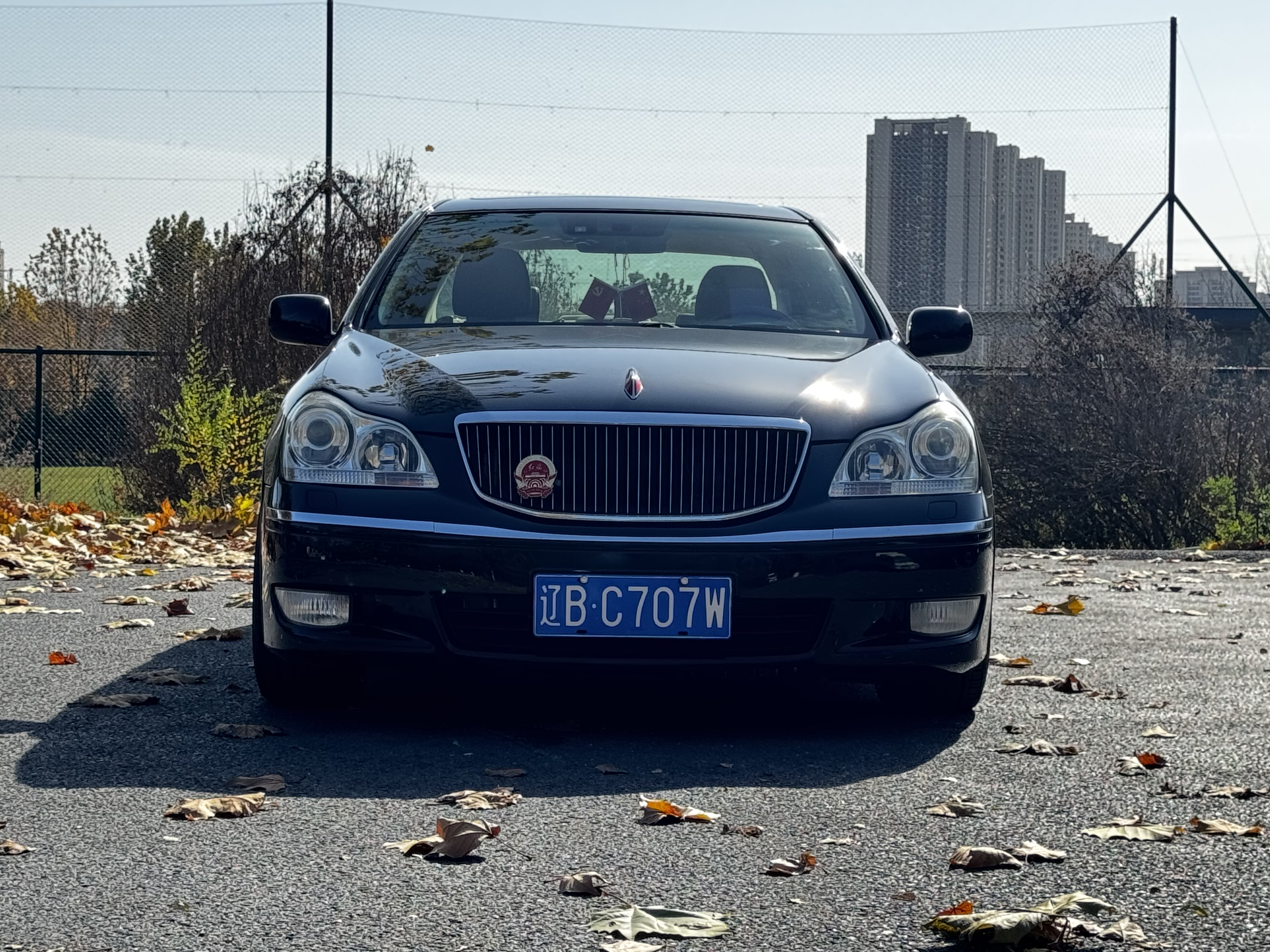 HongQi ShengShi 2009 car image #3