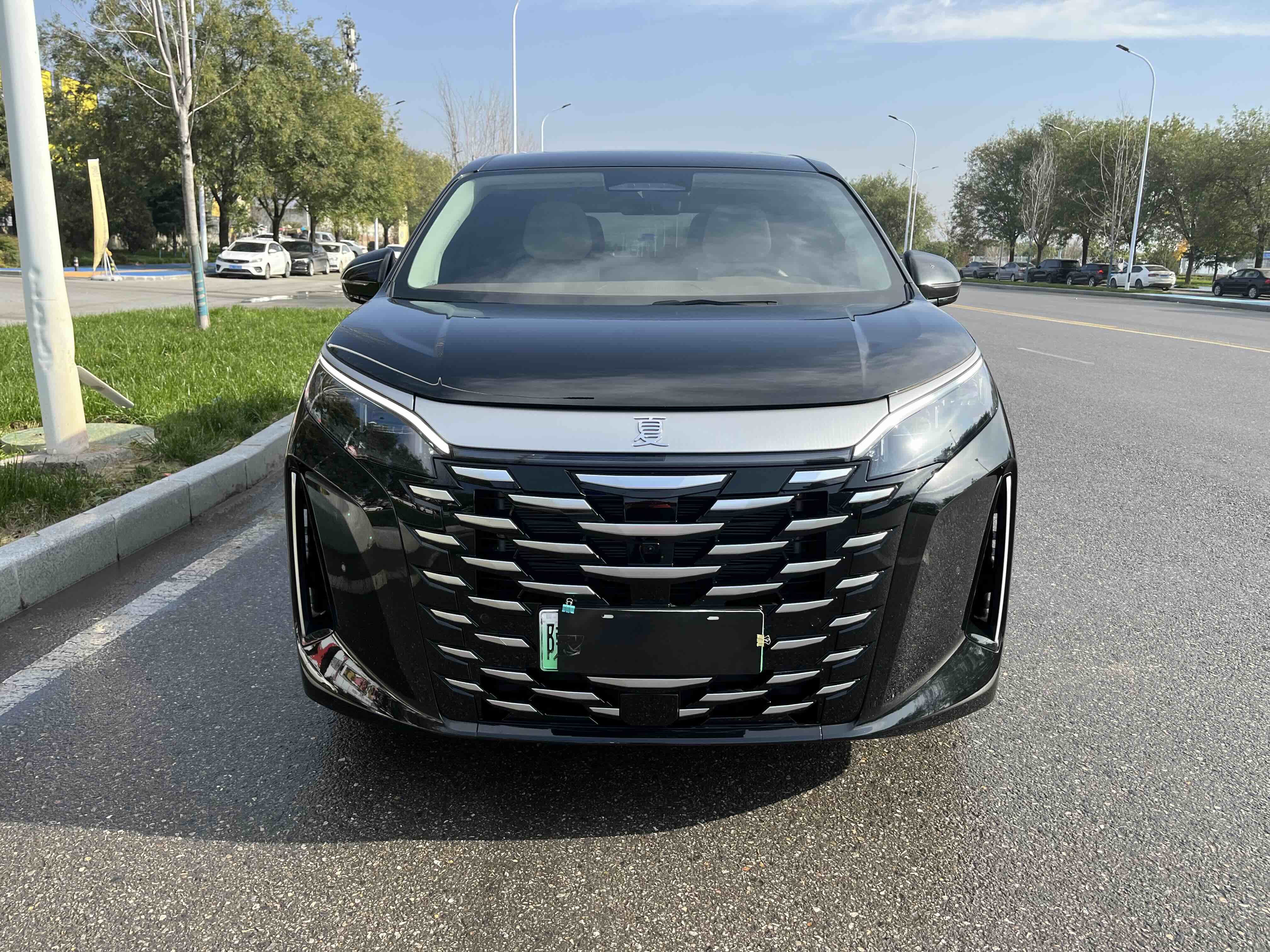 BYD Xia 2025 car image #3