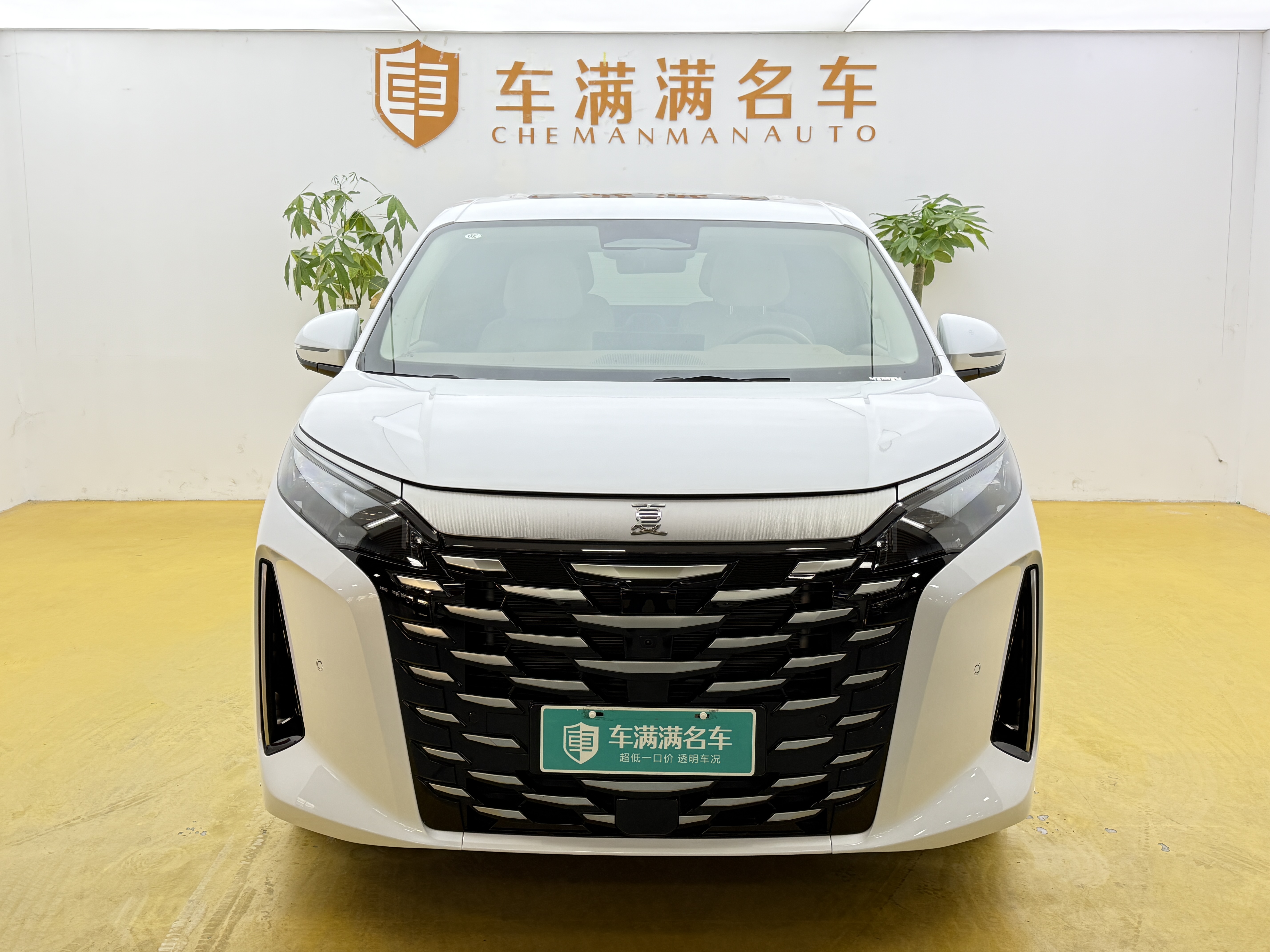 BYD Xia 2025 immagine di auto #3