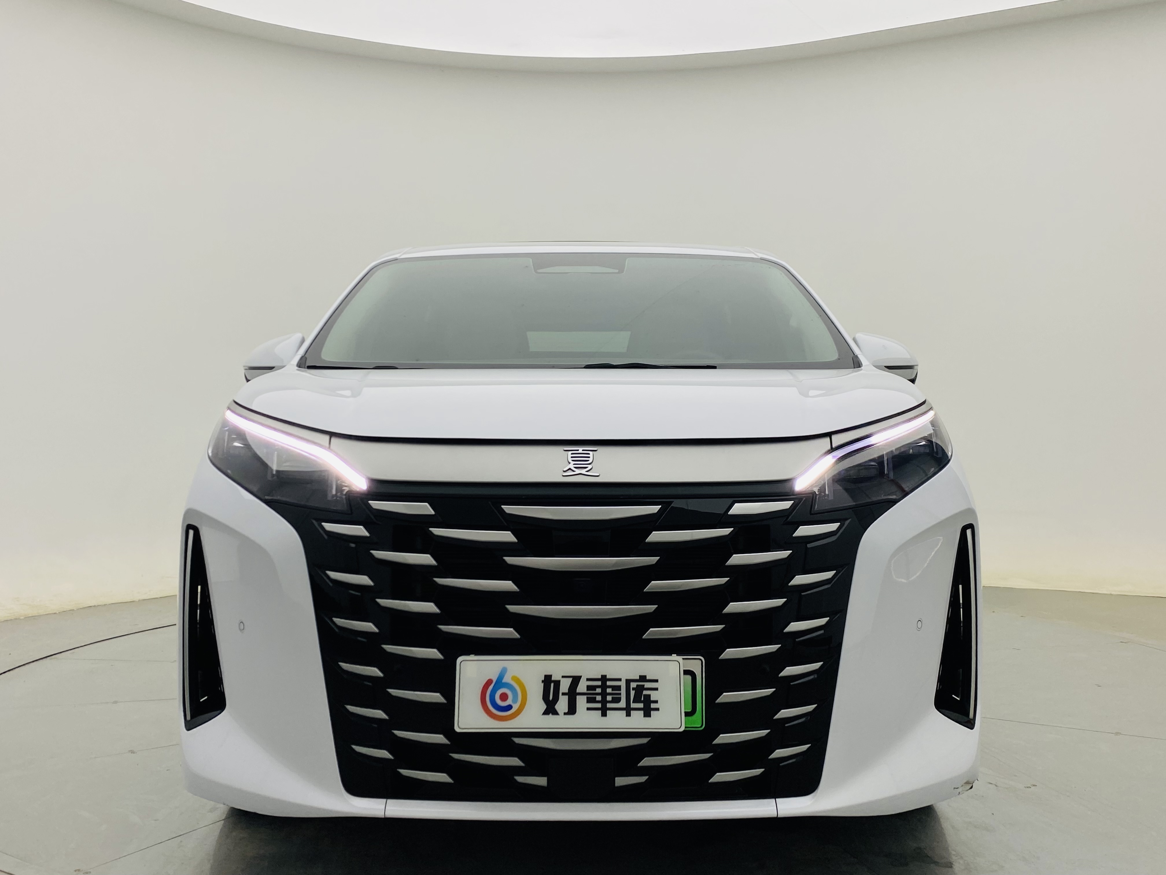 BYD Xia 2025 imagen de coche #3