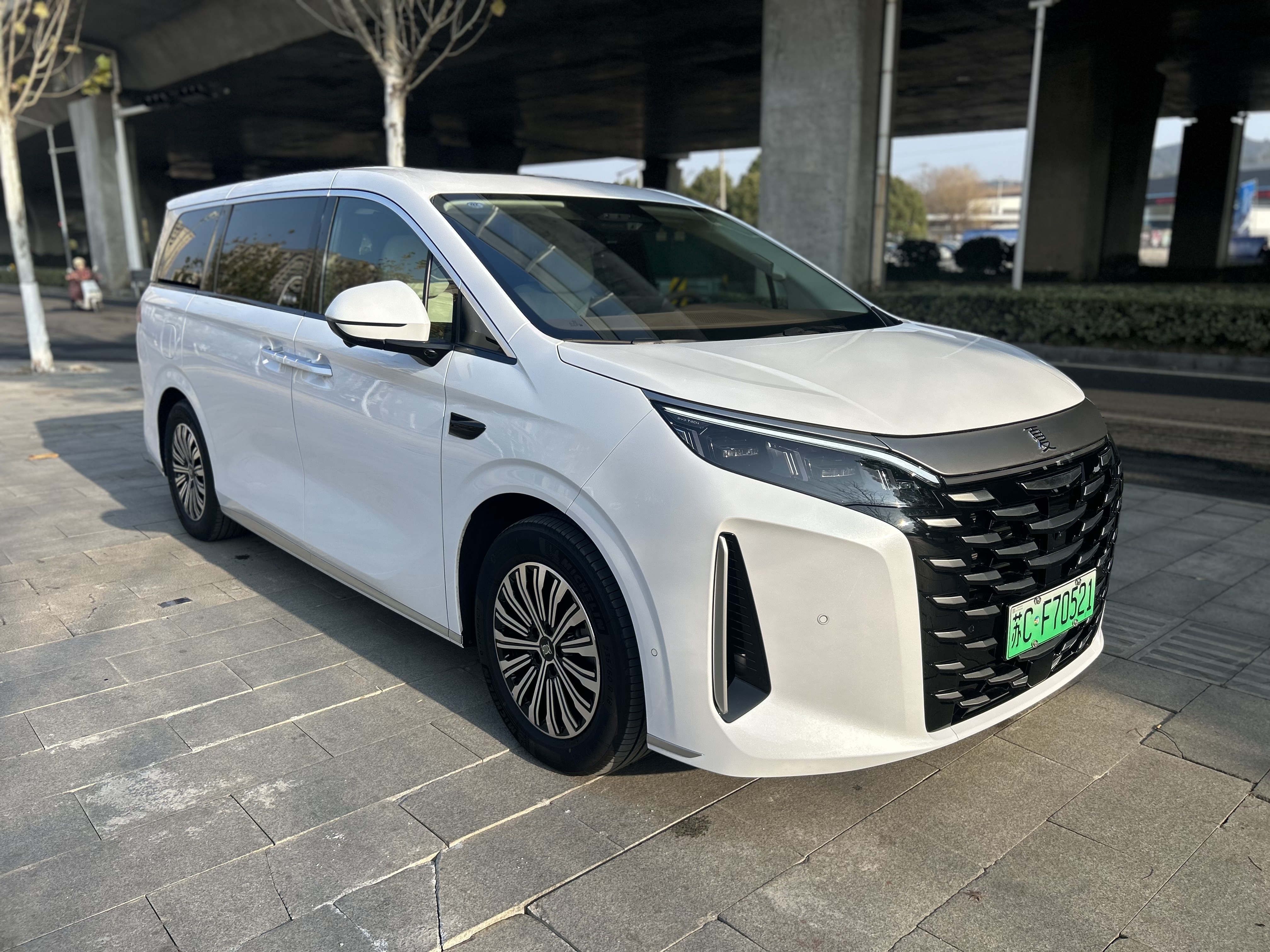 BYD Xia 2025 imagen de coche #3