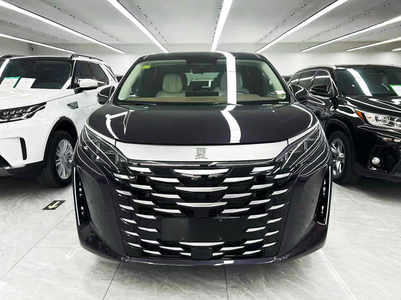 BYD Xia 2025 صورة سيارة #3