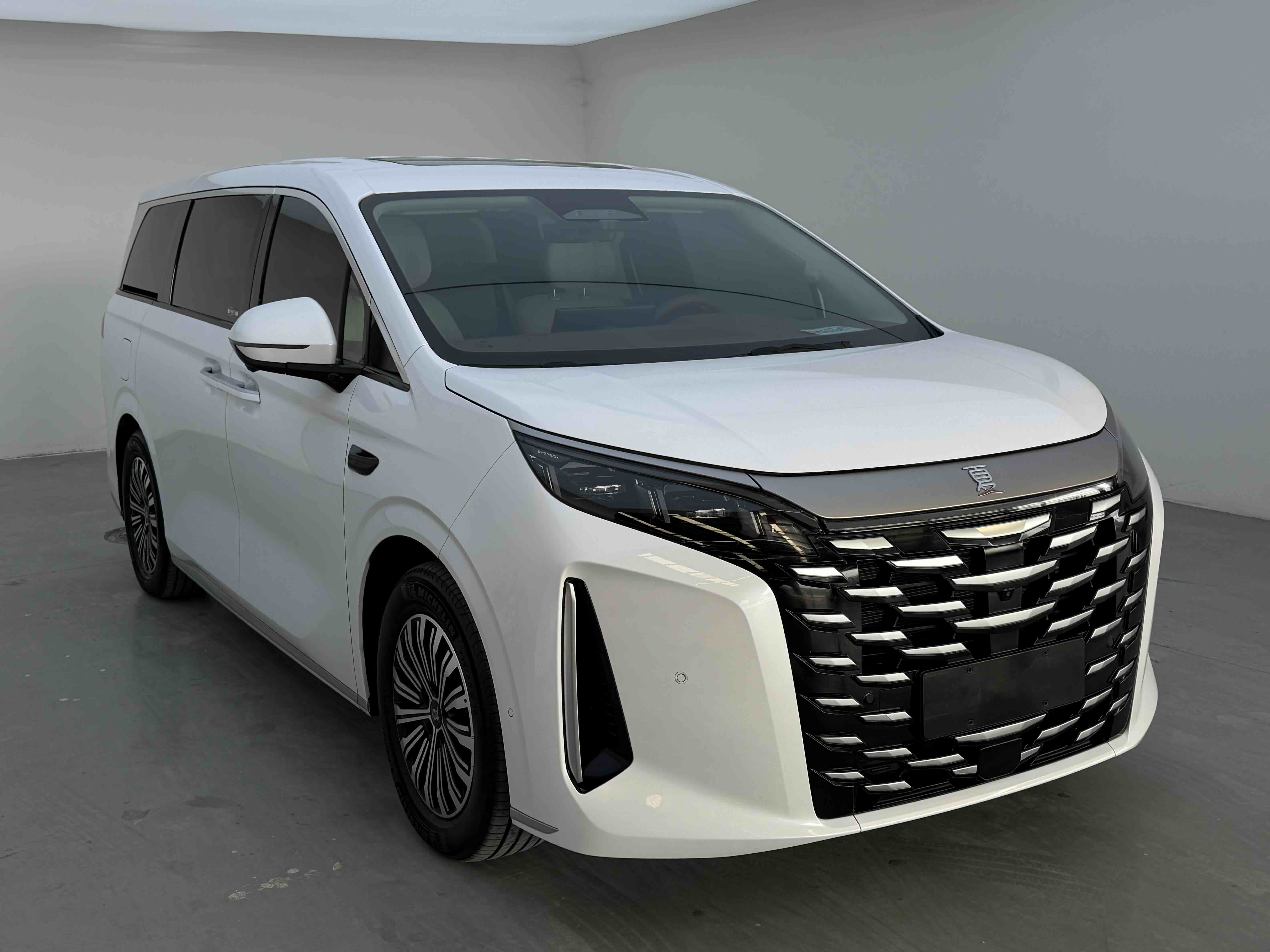 BYD Xia 2025 imagen de coche #3