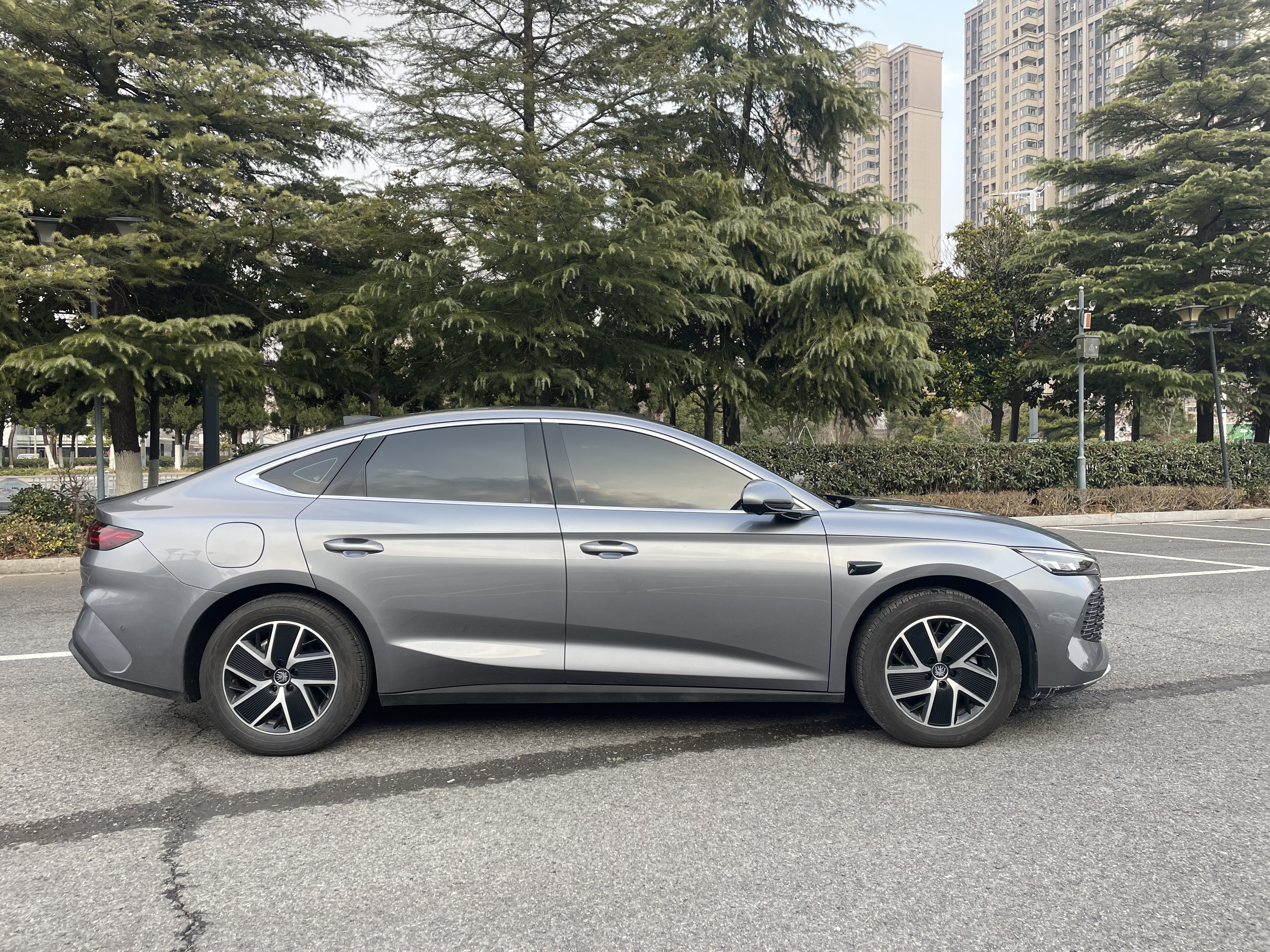 BYD Qin L 2025 car image #3