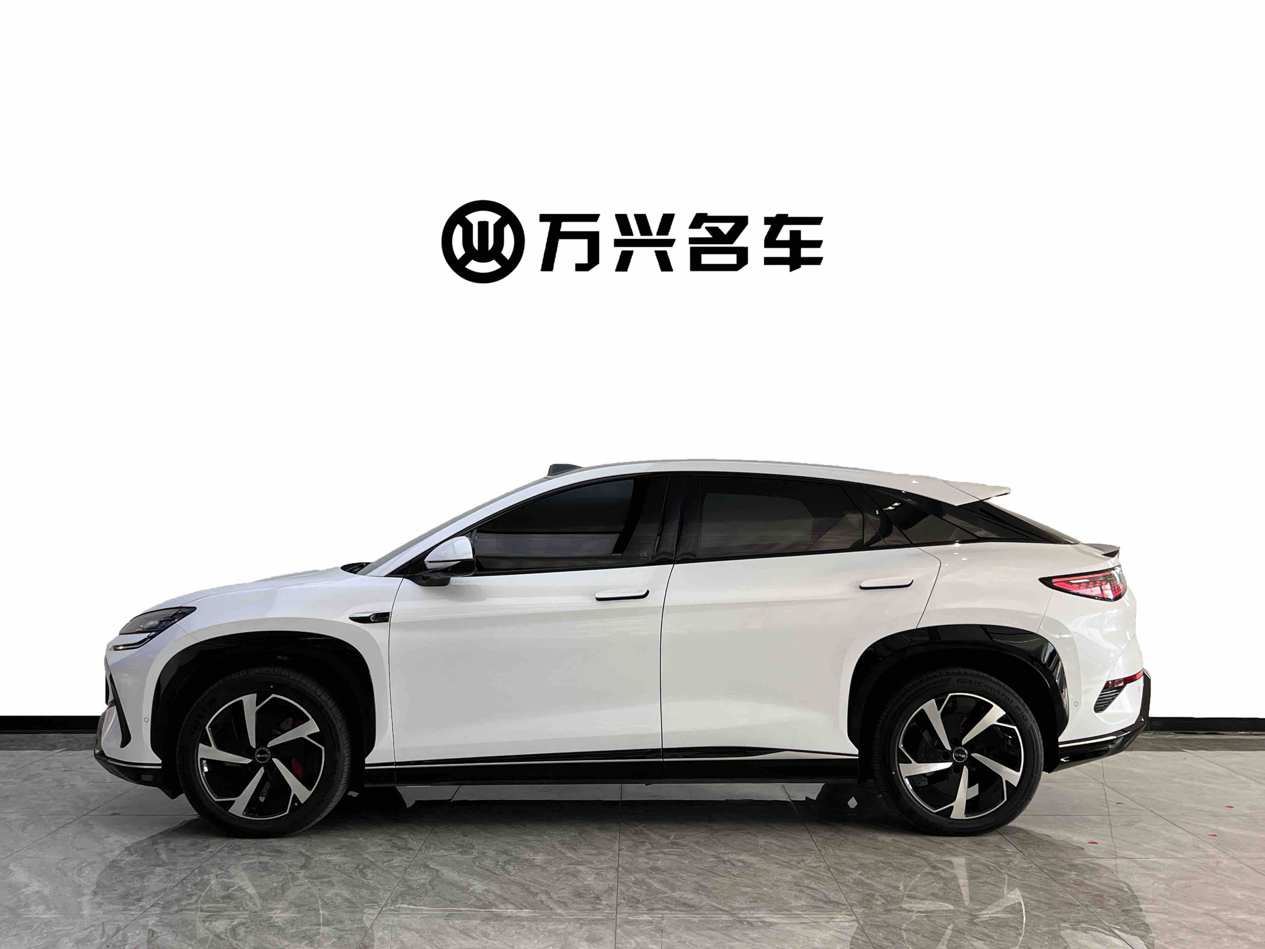 BYD Sea Lion 07 EV 2025 car image #3