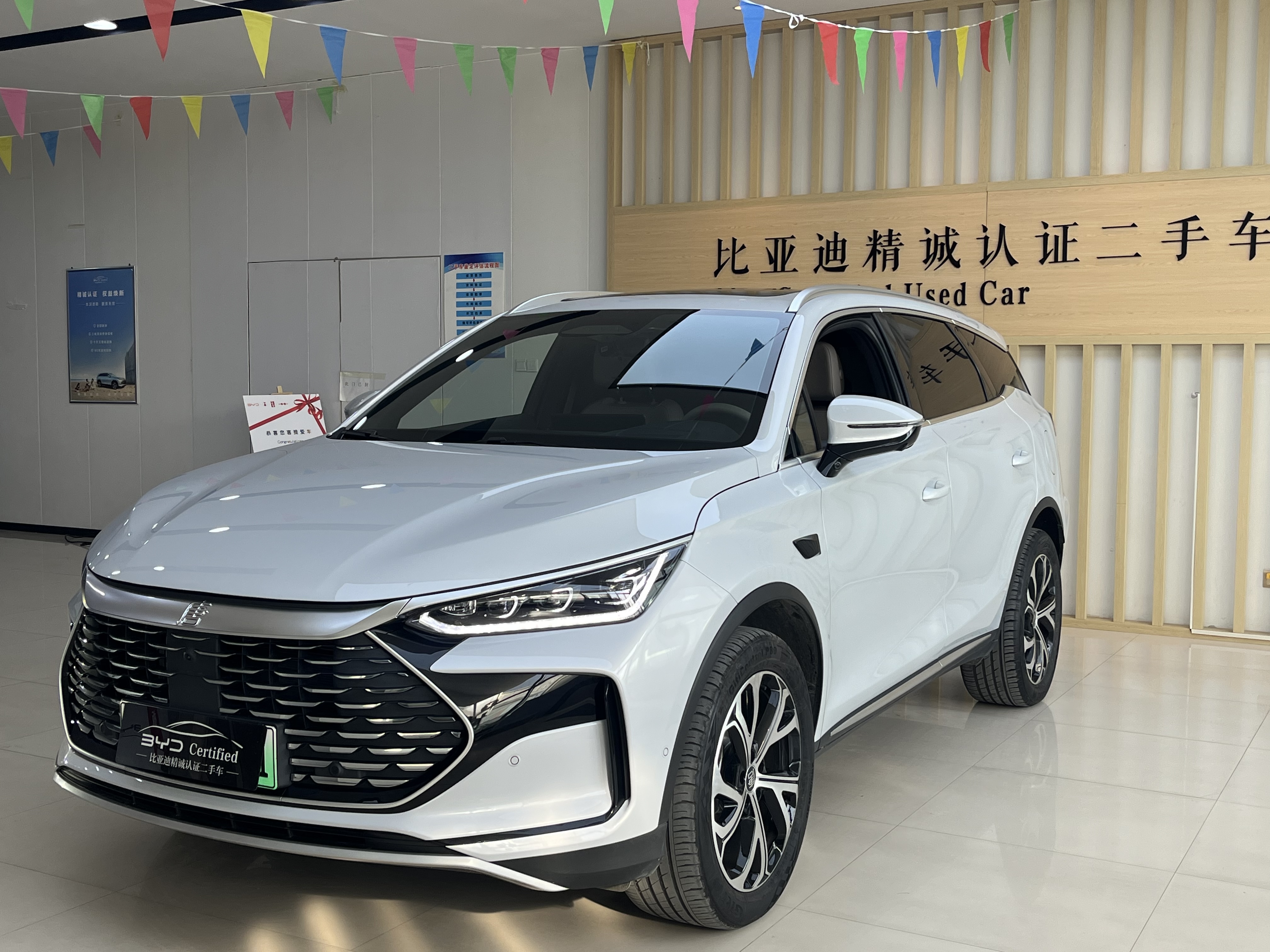 BYD Tang New Energy 2025 car image #3
