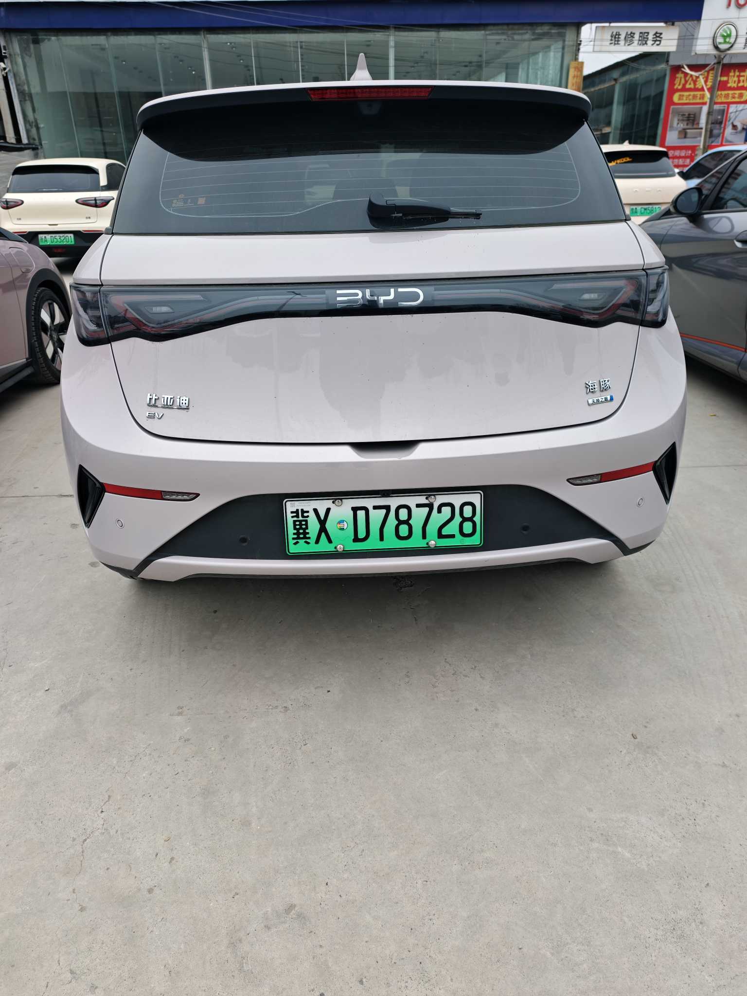 BYD Dolphin 2025 car image #3