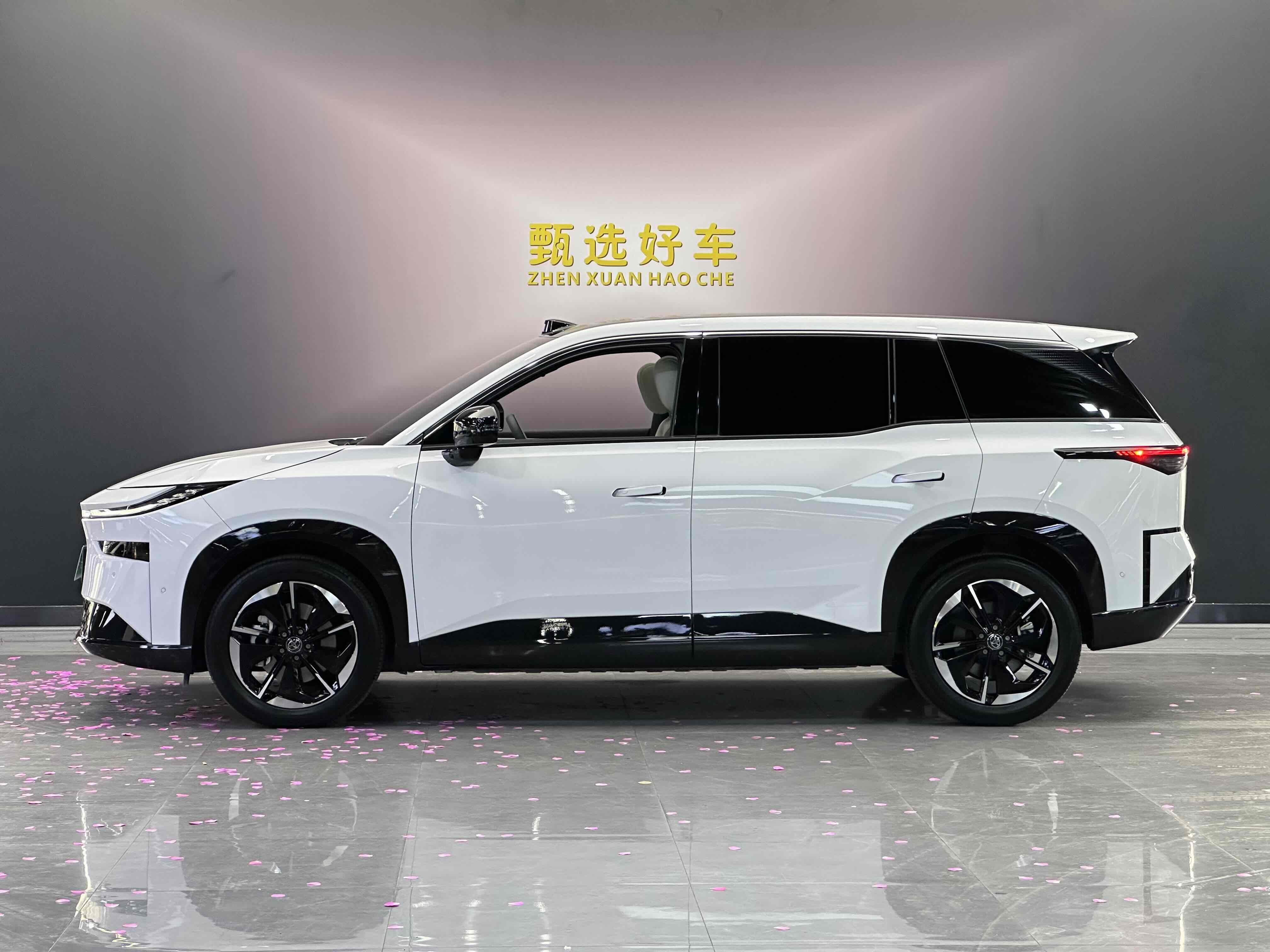 Toyota Bozhi 3X 2025 immagine di auto #3