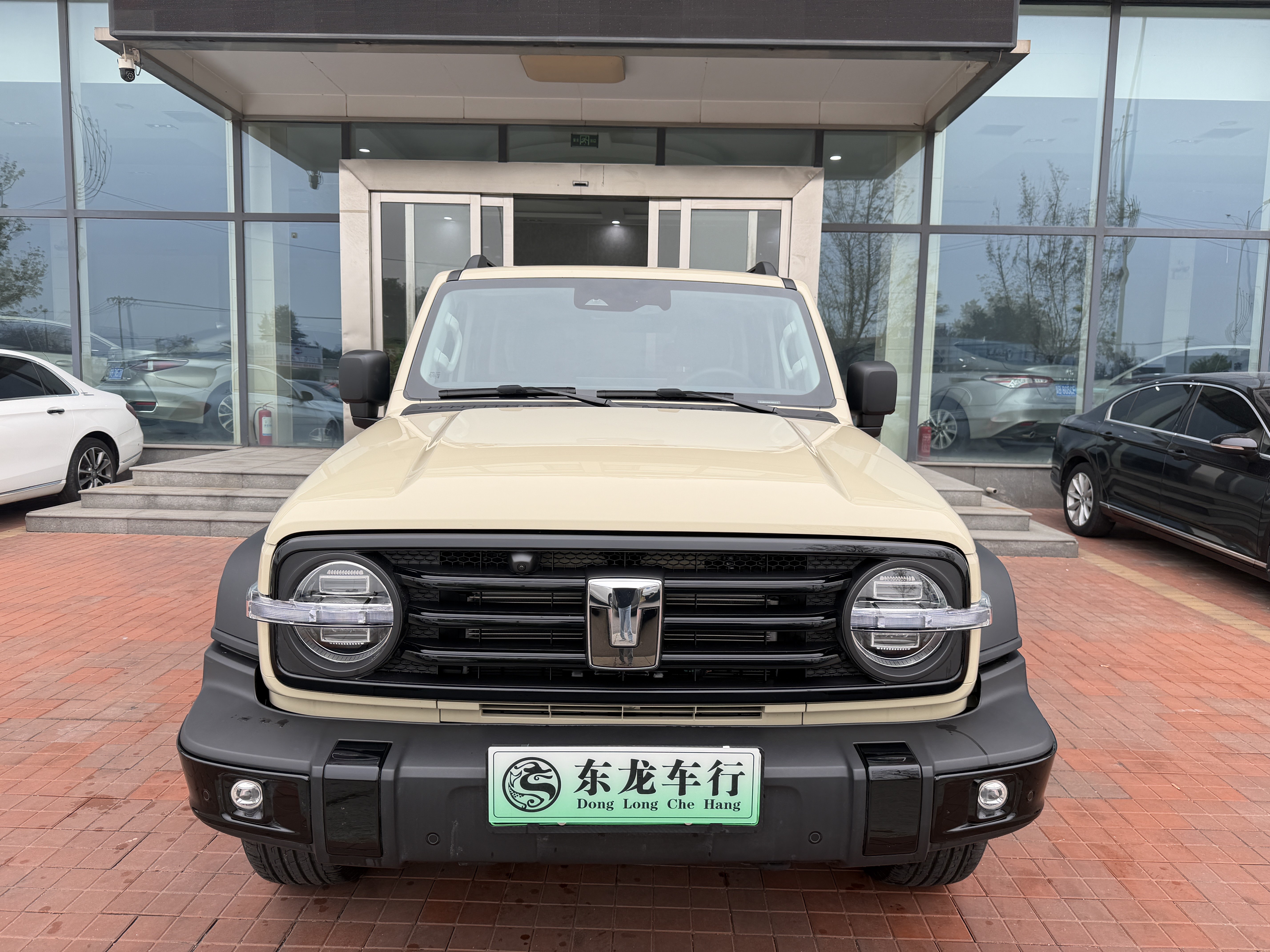 Tank 300 New Energy 2025 car image #3