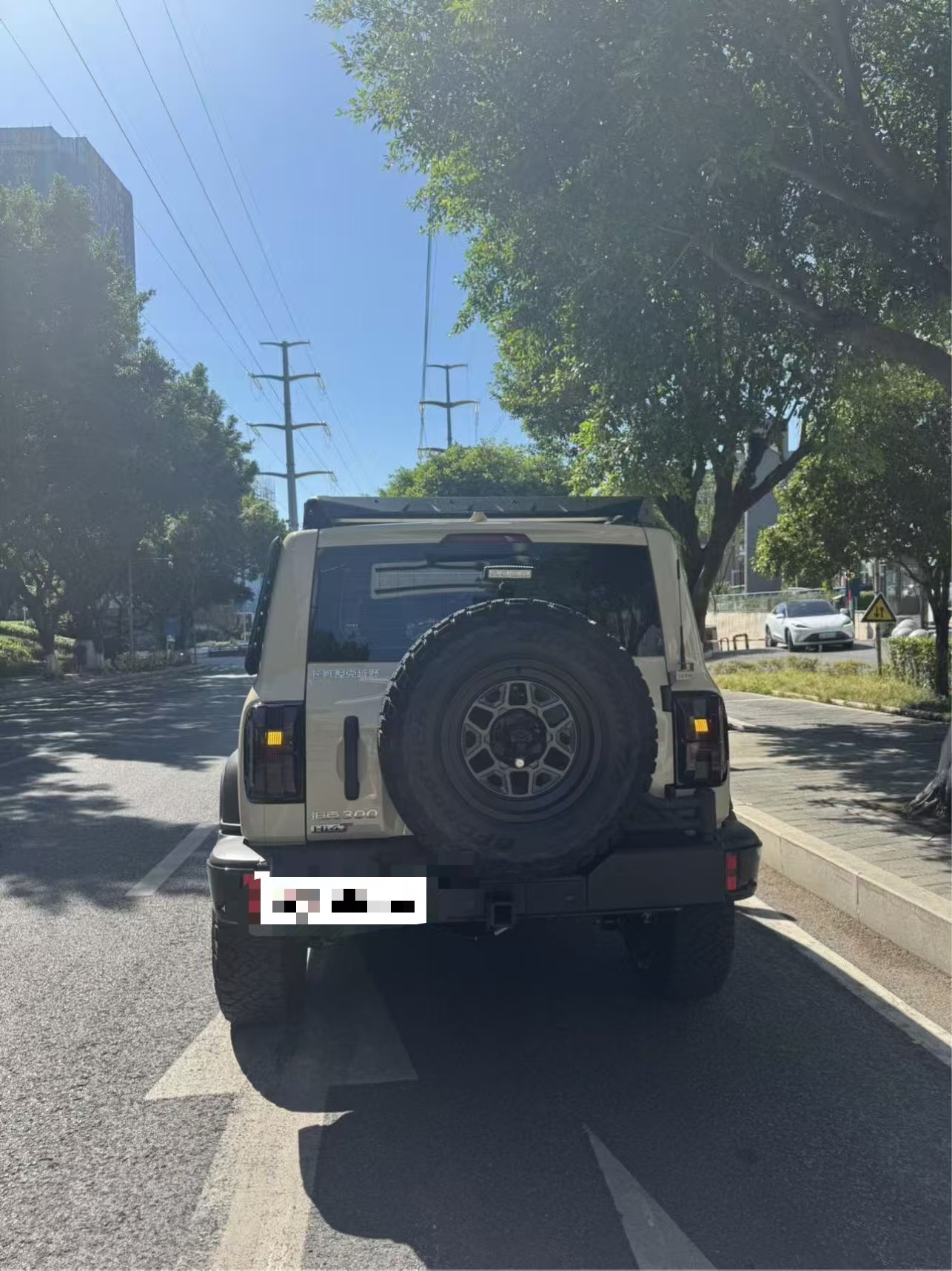 Tank 300 New Energy 2025 car image #3