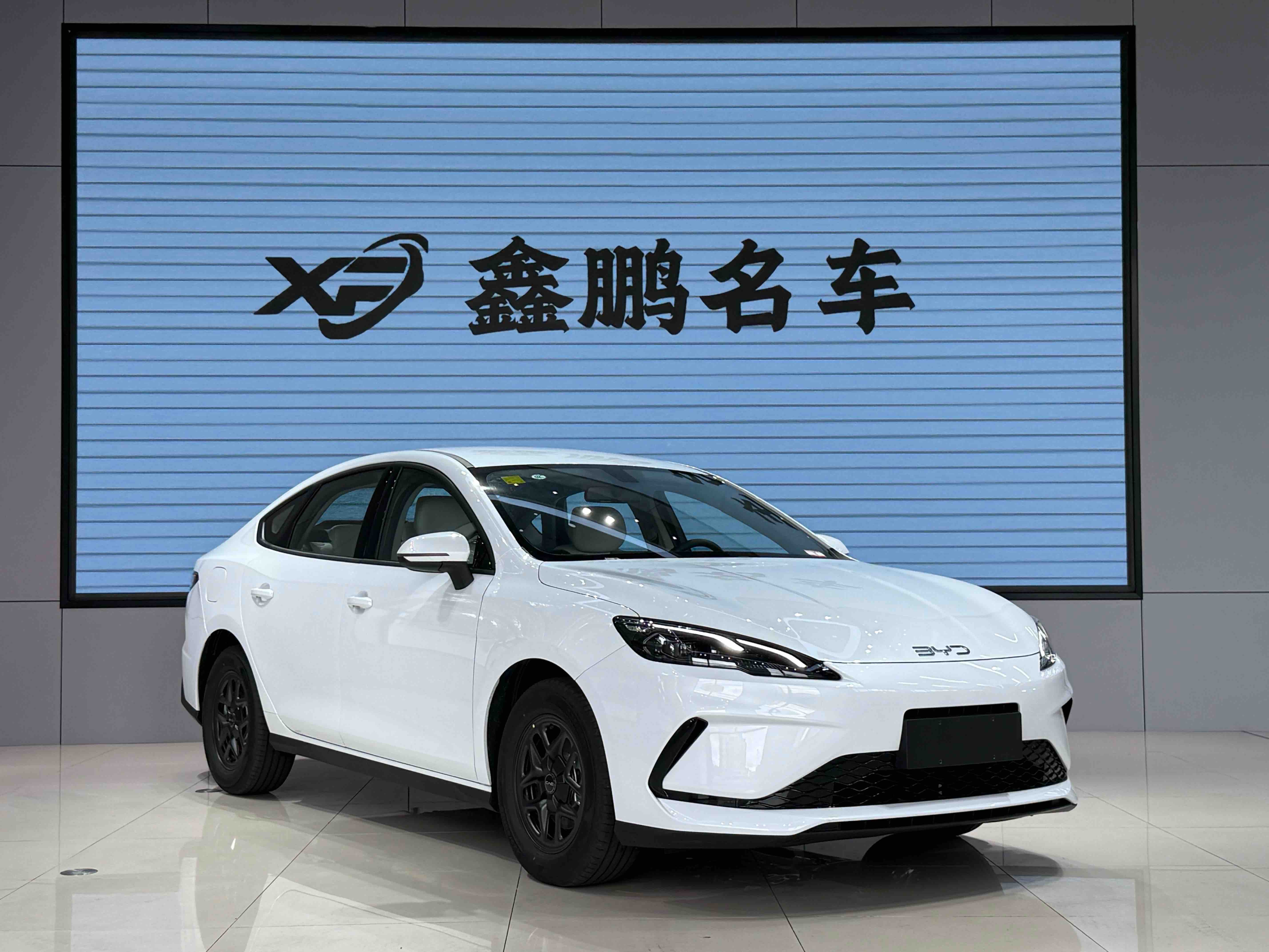 BYD Seal 05 DM-i 2025 immagine di auto #3