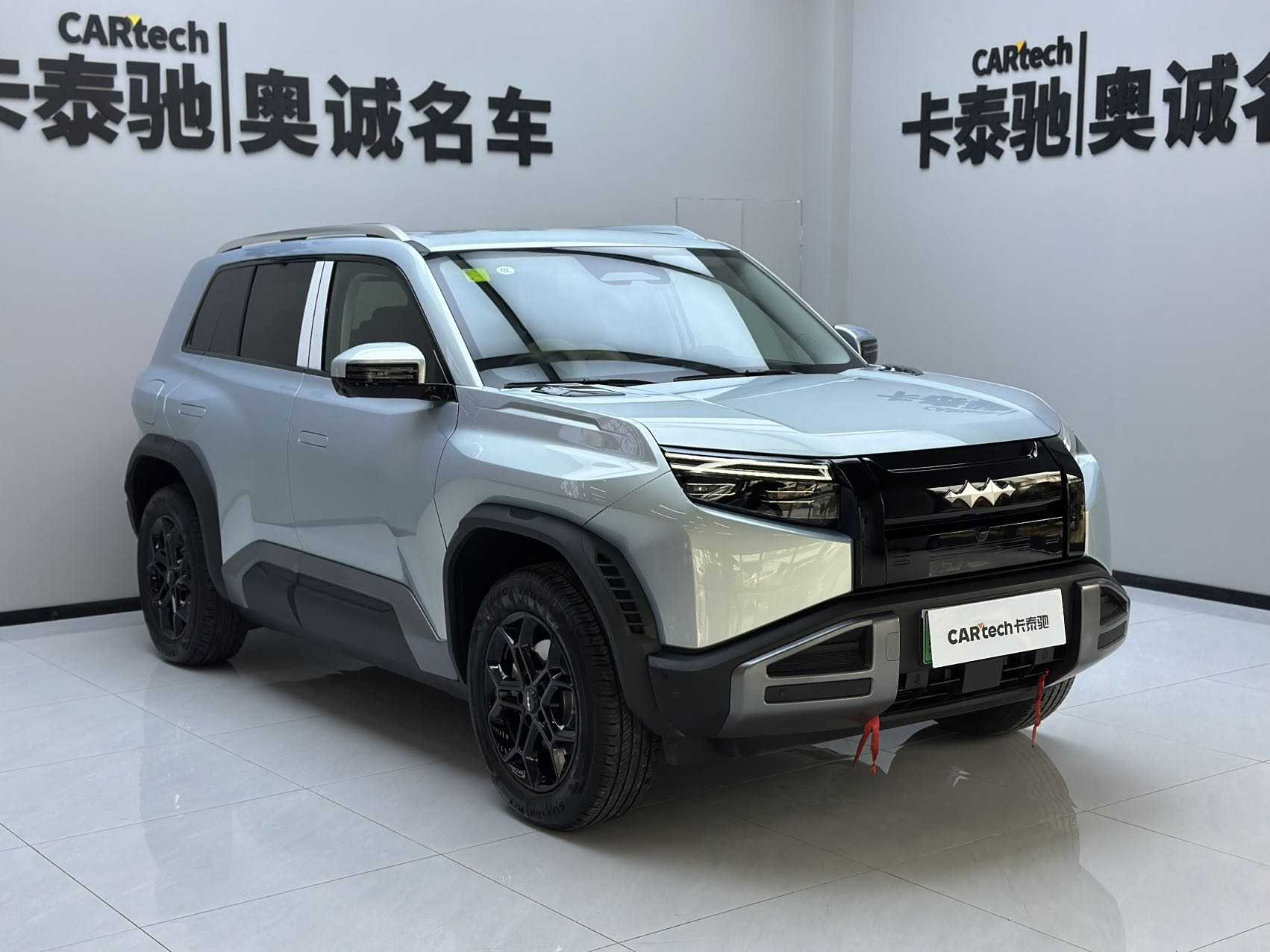 FangChengBao Tiger 3 2025 car image #3