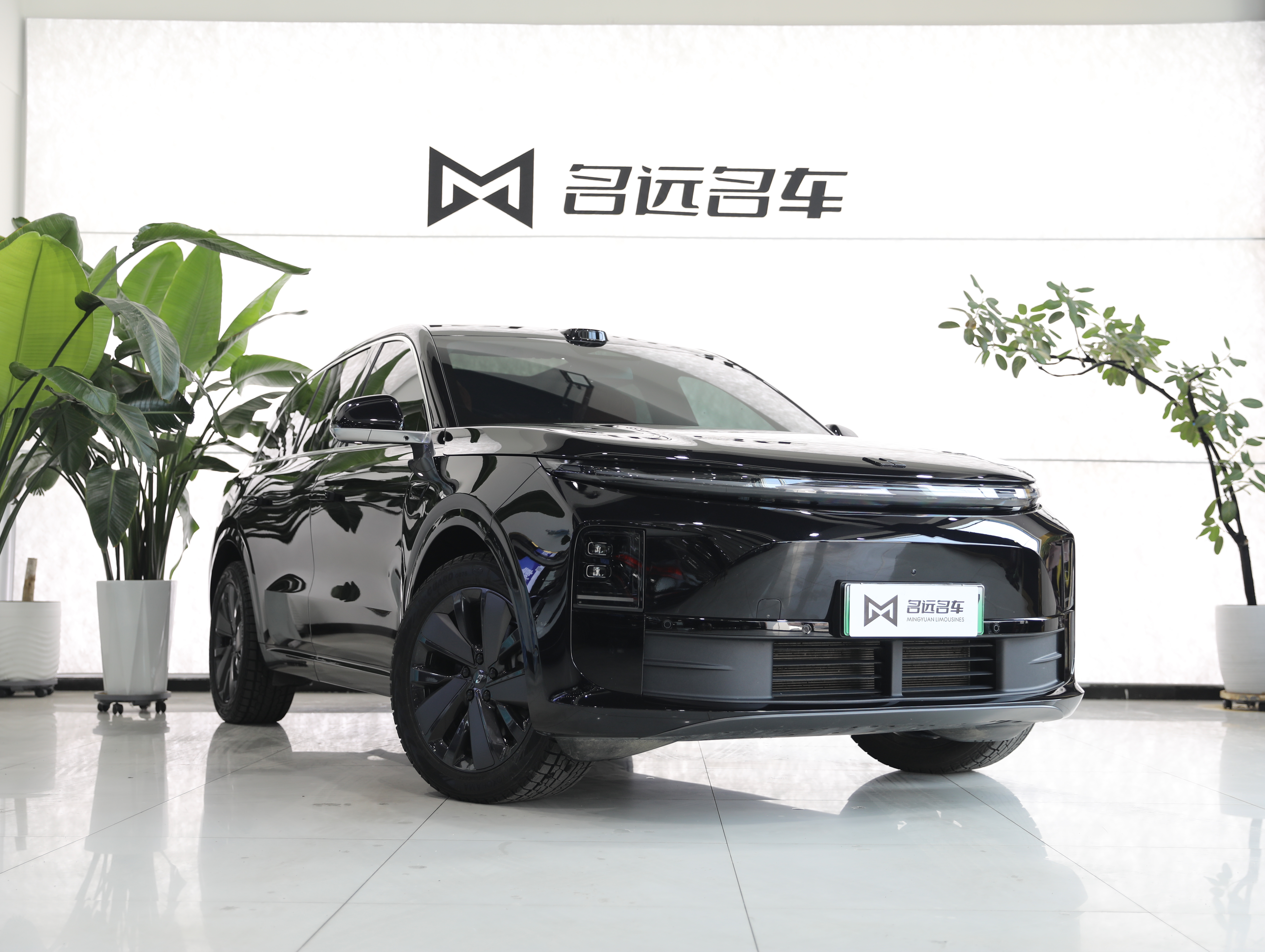 Li L6 2025 صورة سيارة #3