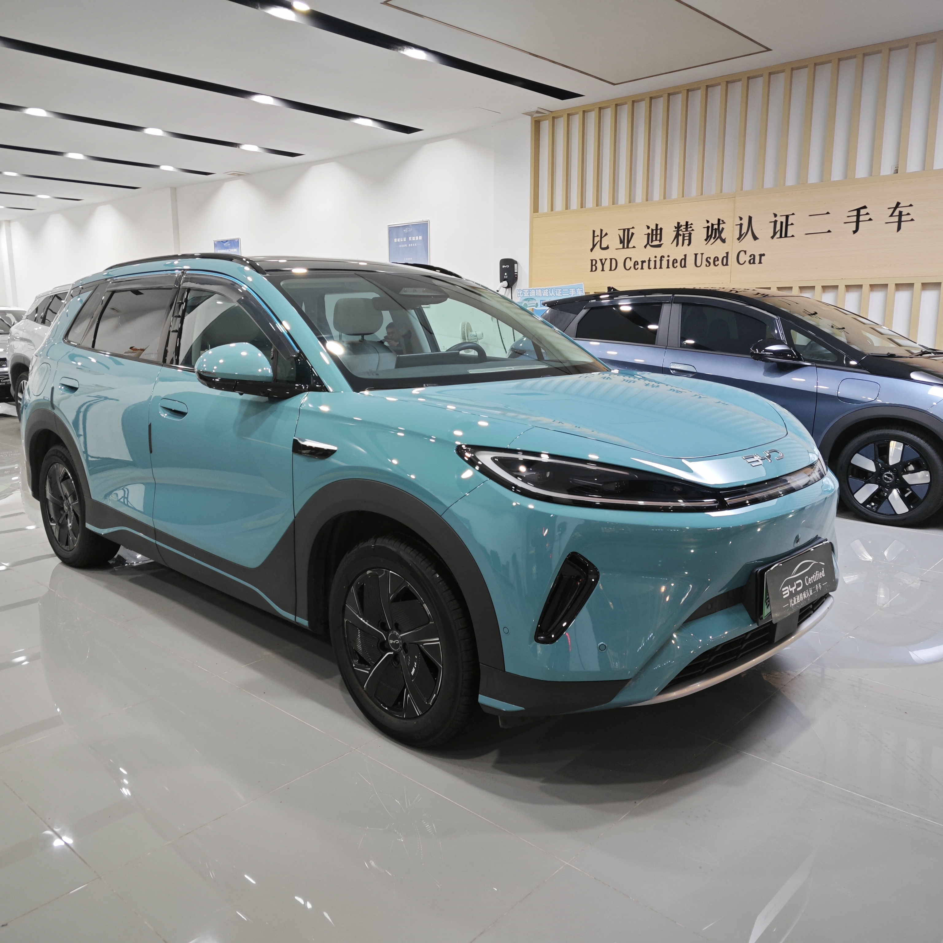 BYD Sea Lion 05 EV 2025 car image #3