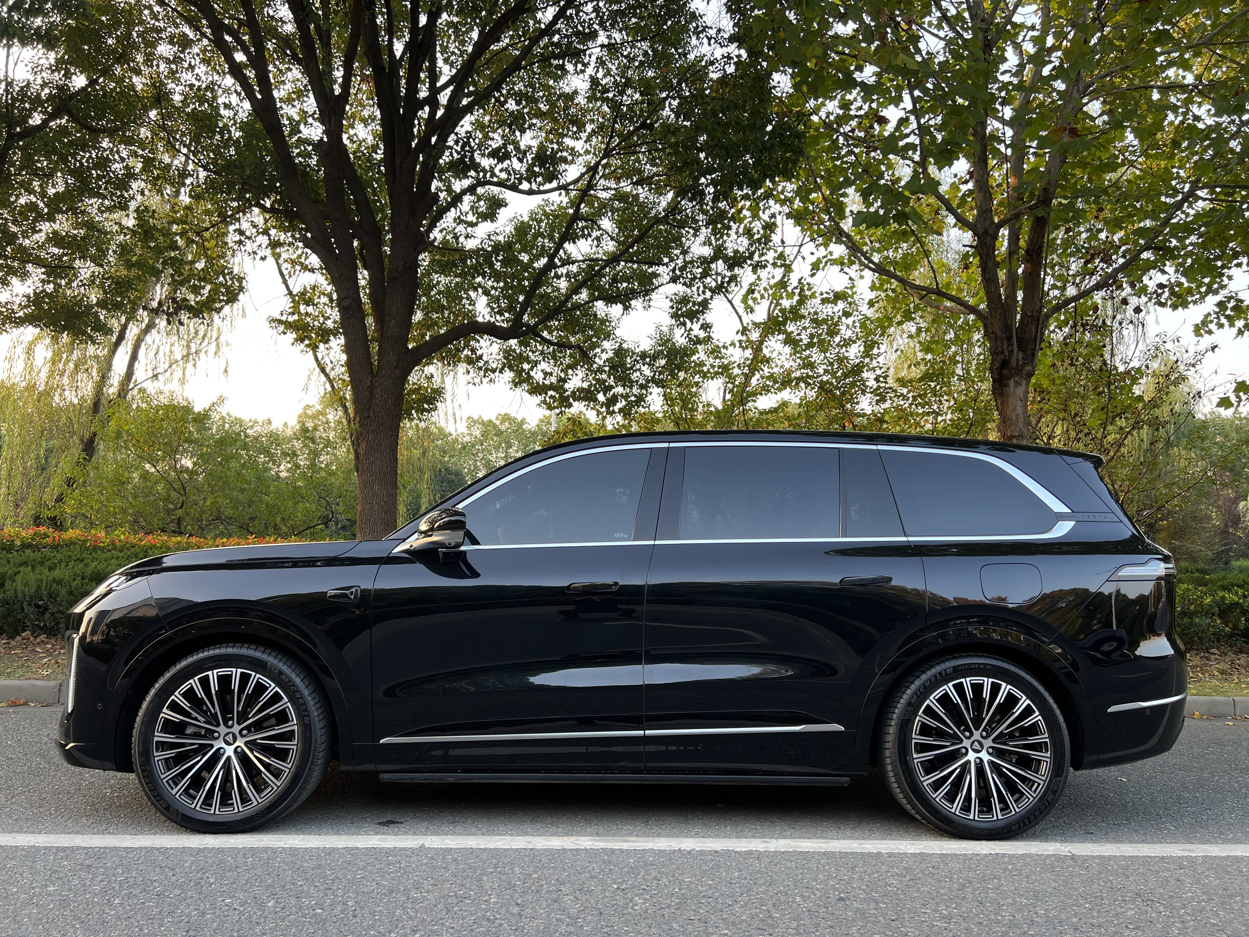 Deepal S09 2025 immagine di auto #3