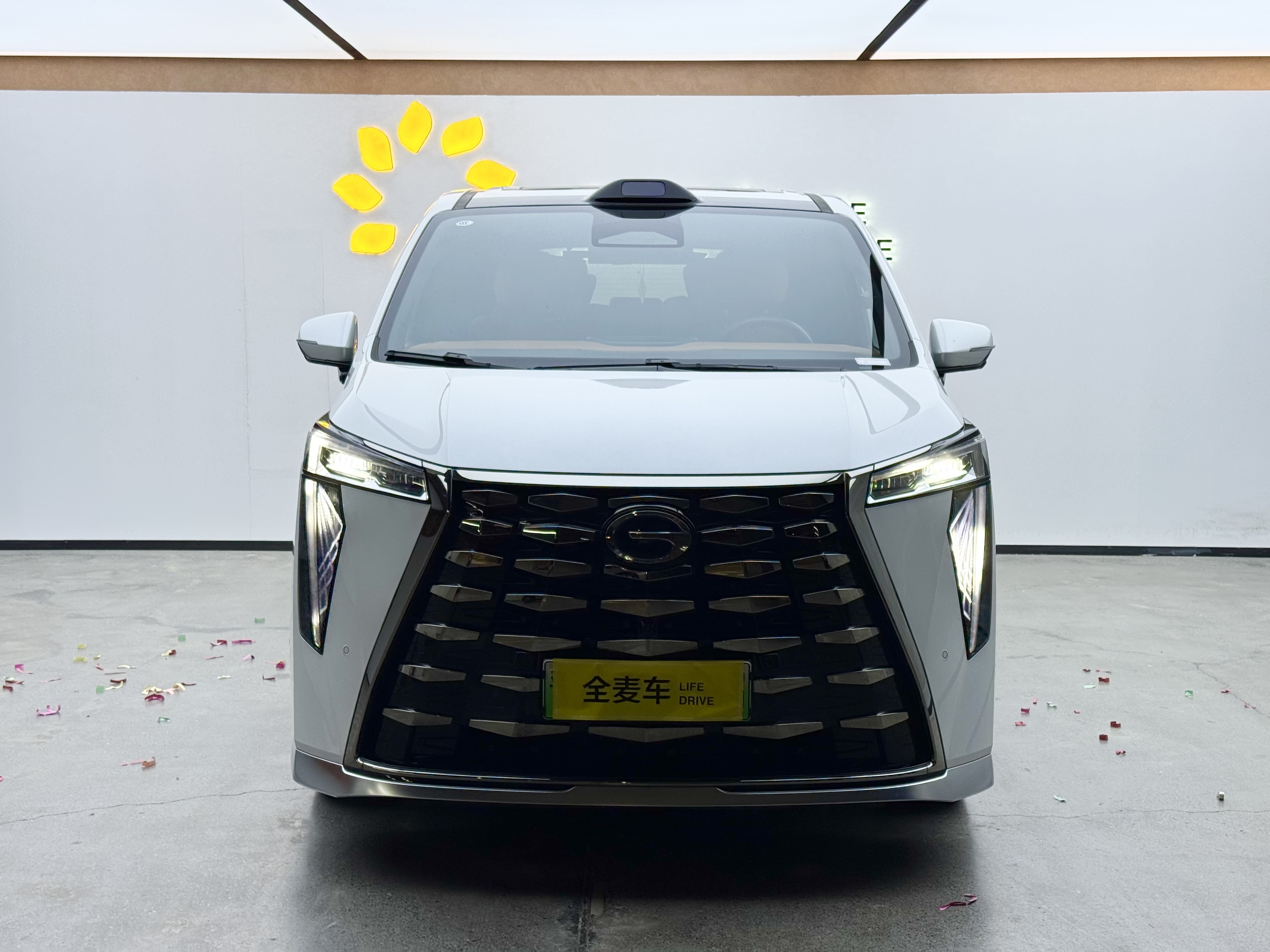 GAC Trumpchi Xiangwang M8 2025 car image #3