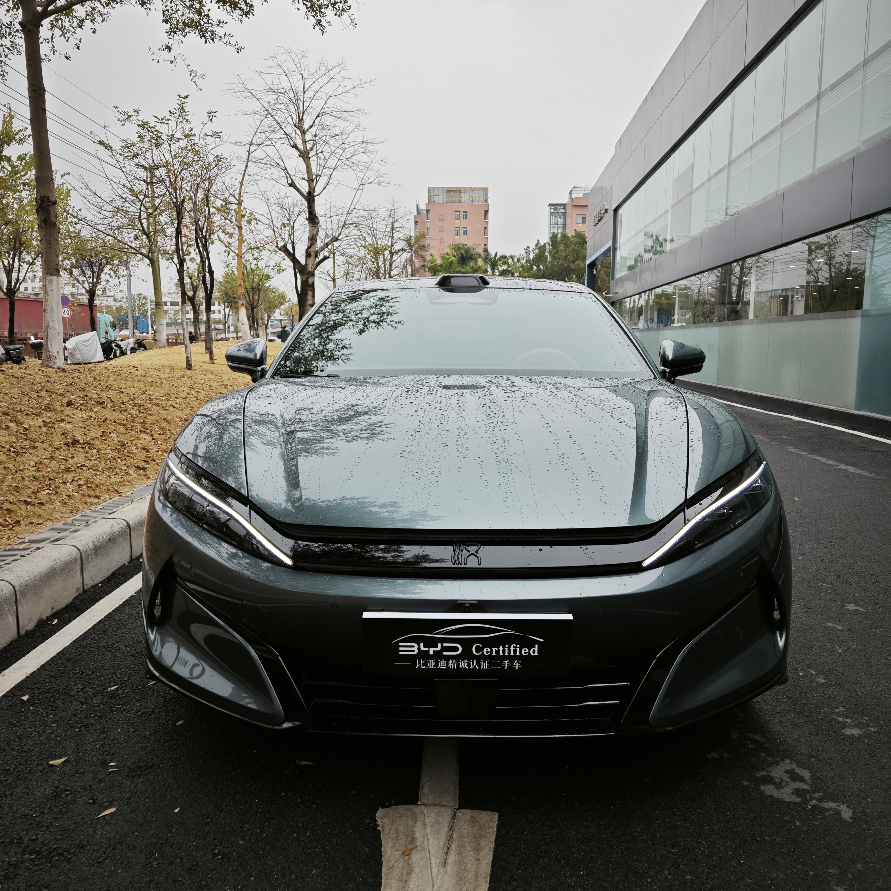 BYD HanL 2025 صورة سيارة #3