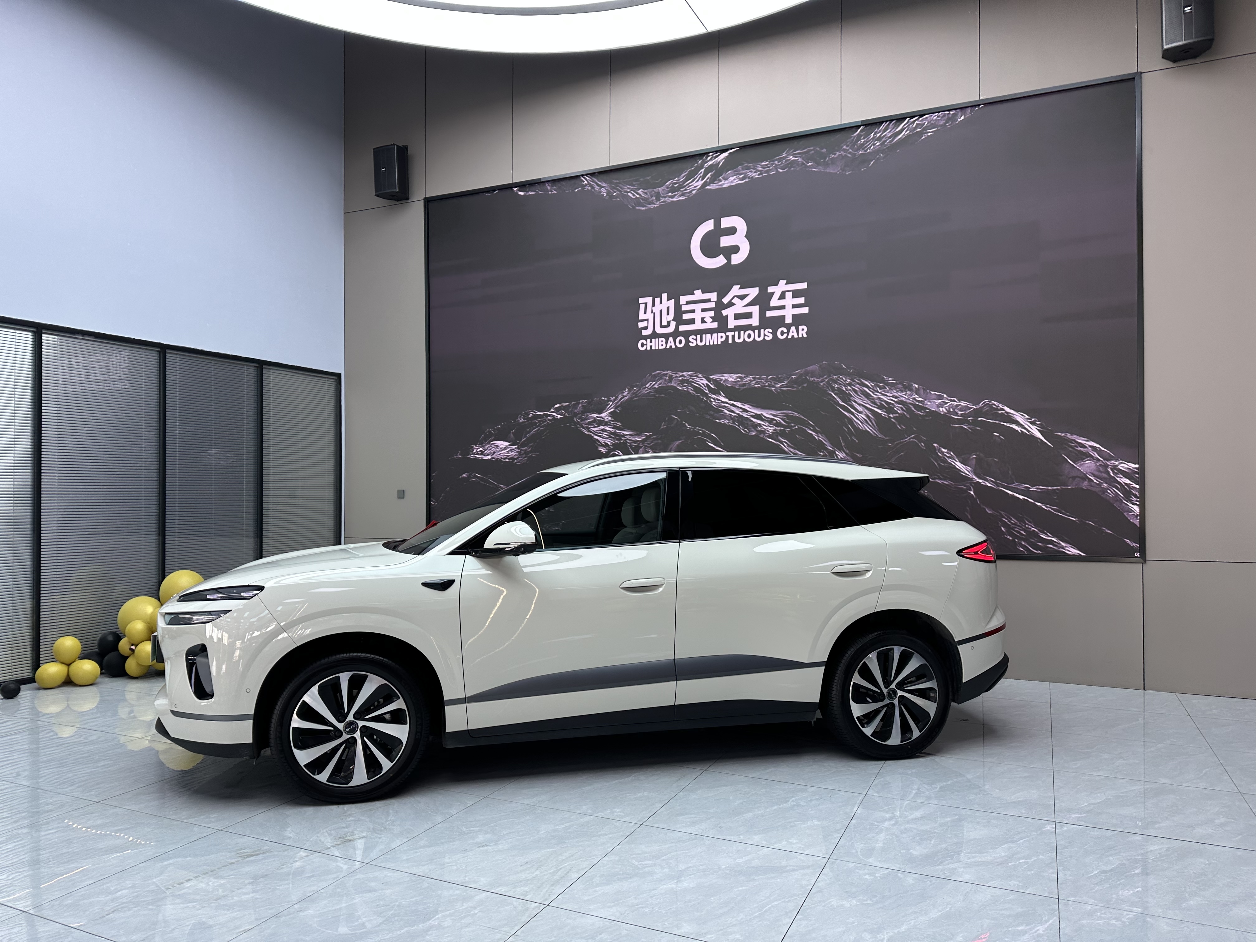 BYD Sea Lion 06 New Energy 2025 car image #3