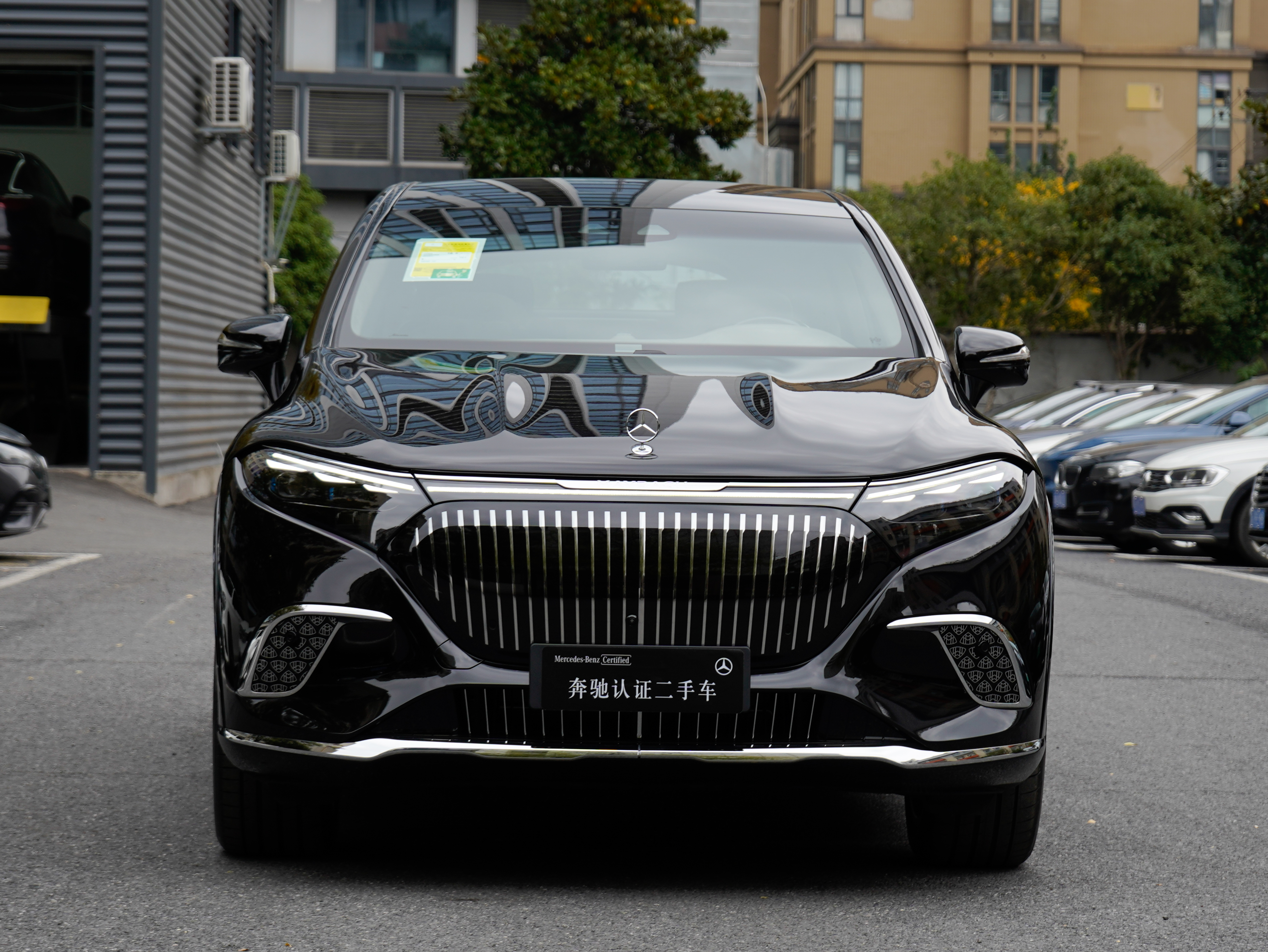 Mercedes-Benz MaybachEQS SUV 2025 car image #3