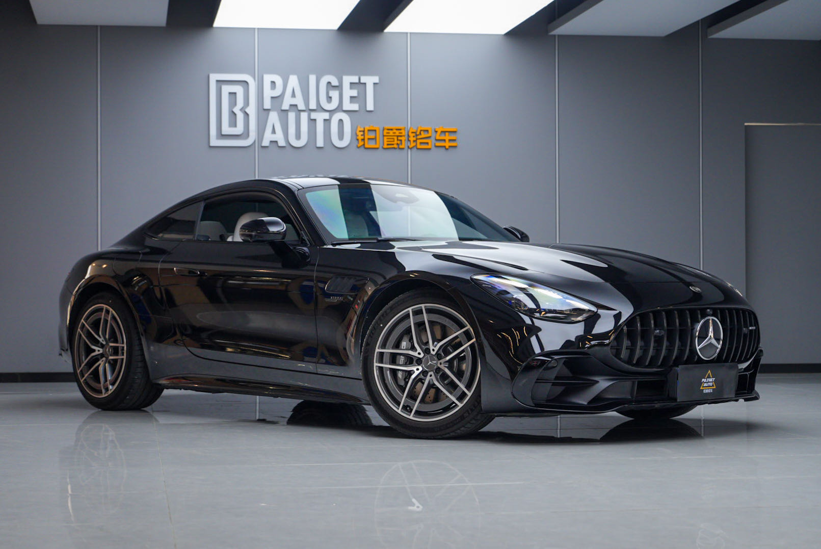 Mercedes-Benz AMG GT 2025 imagen de coche #3