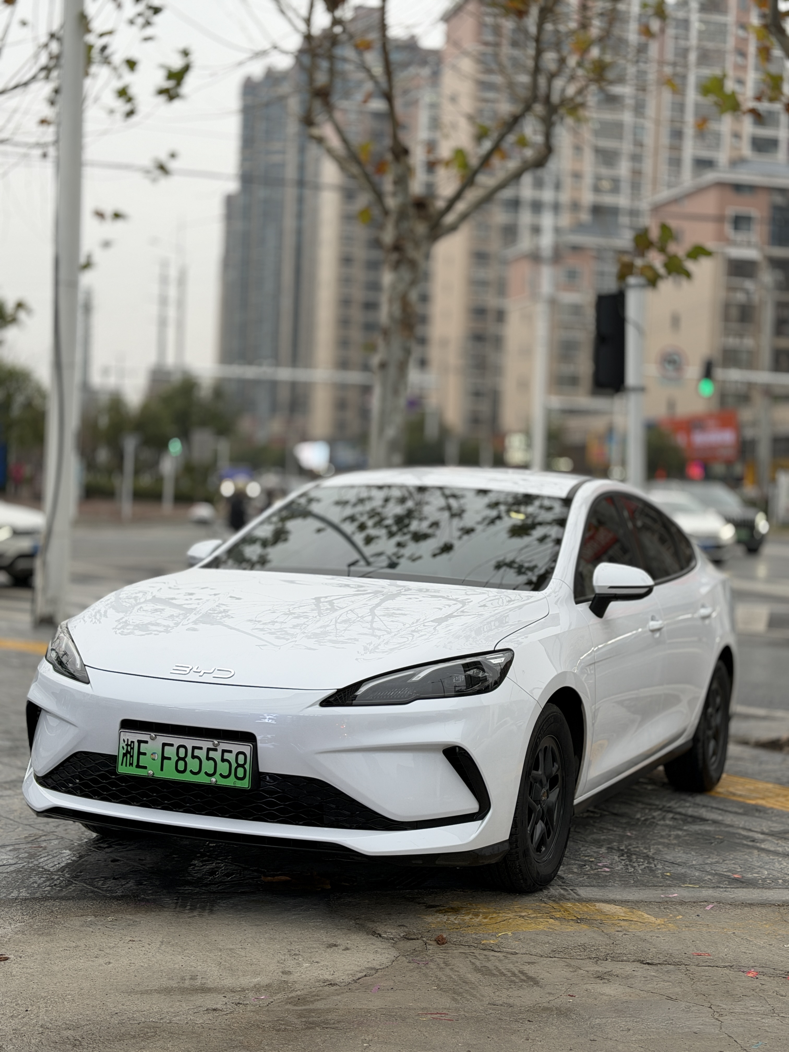 BYD Seal 05 DM-i 2025 car image #3