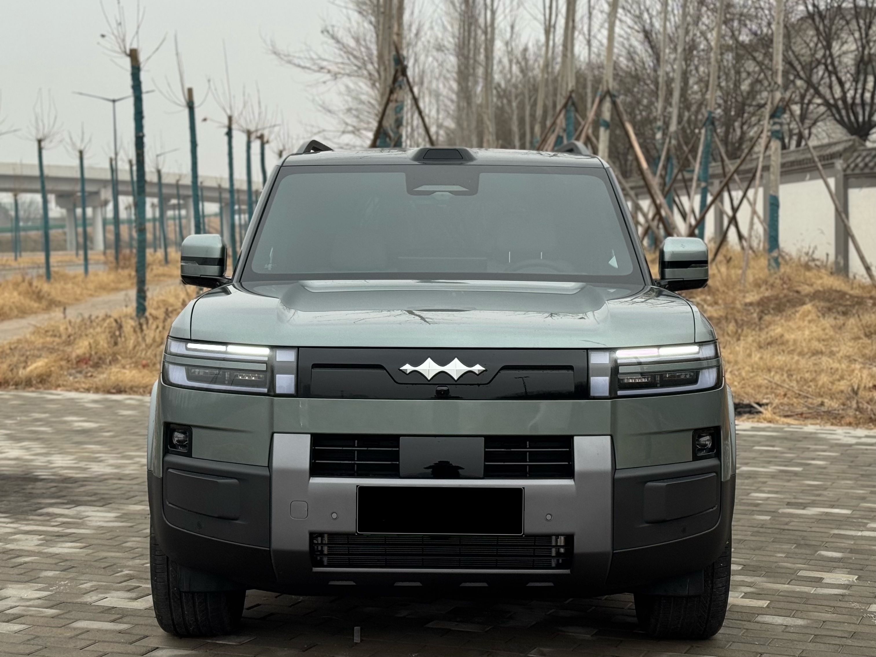 FangChengBao Tiger 7 2025 car image #3