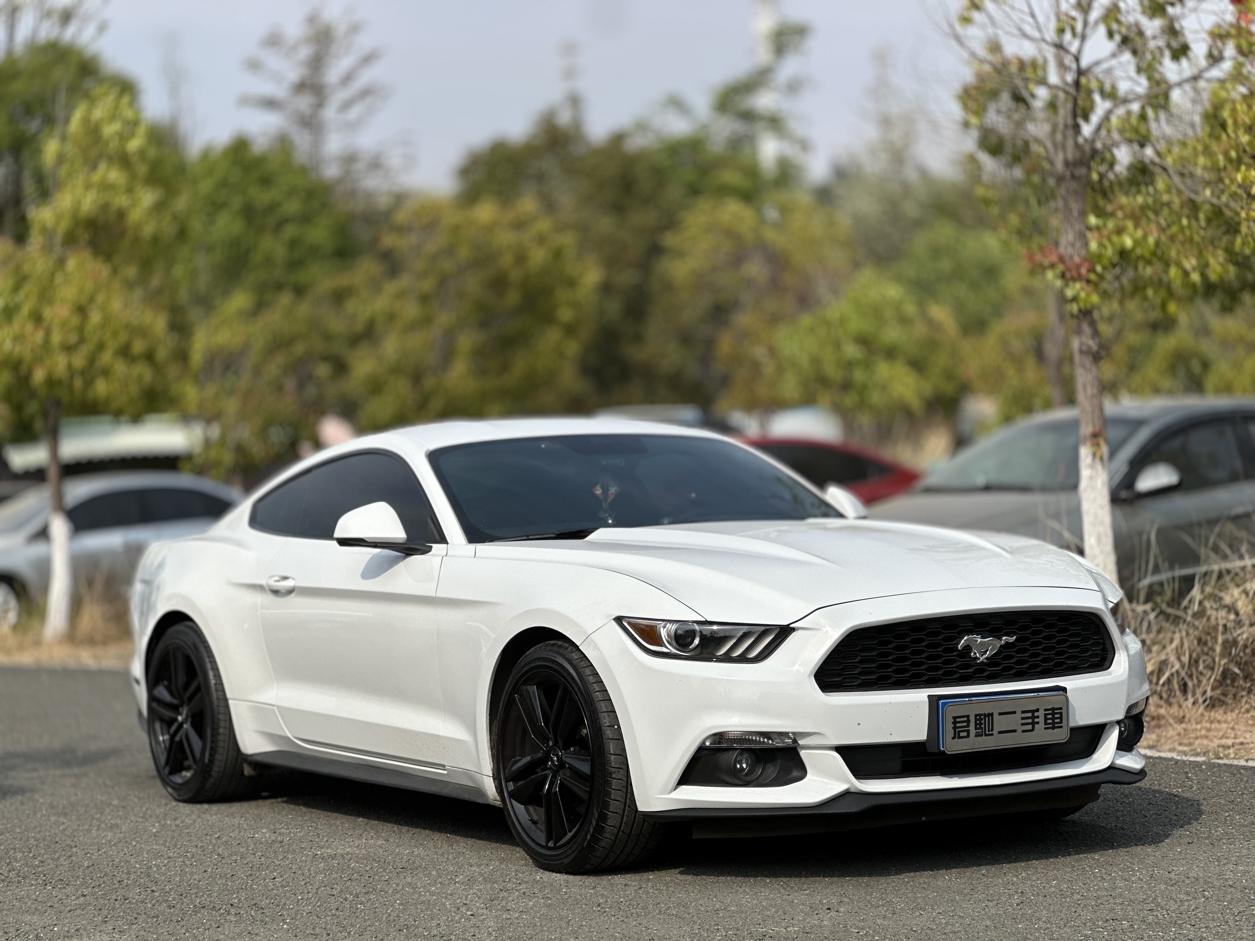 Ford Mustang 2015 car image #3