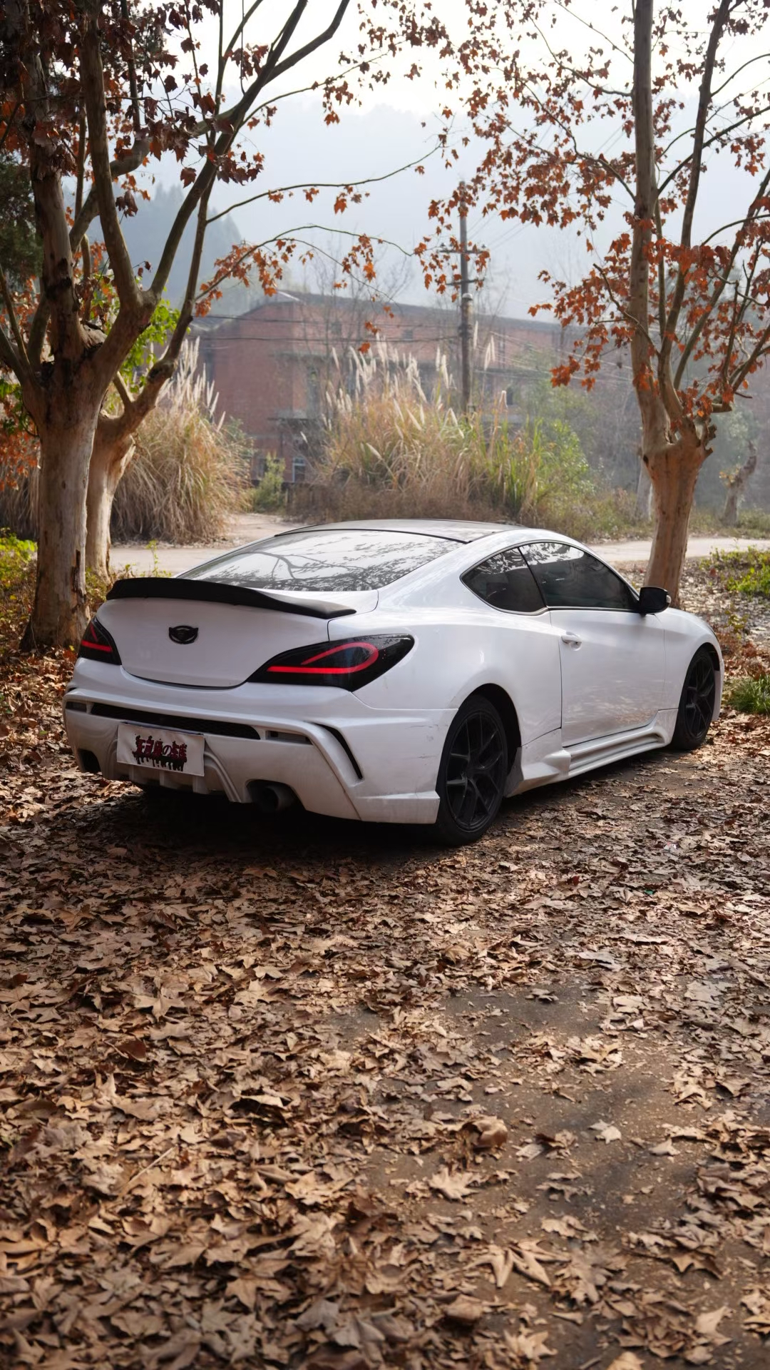 Hyundai Rohens-Coupe 2011 car image #3