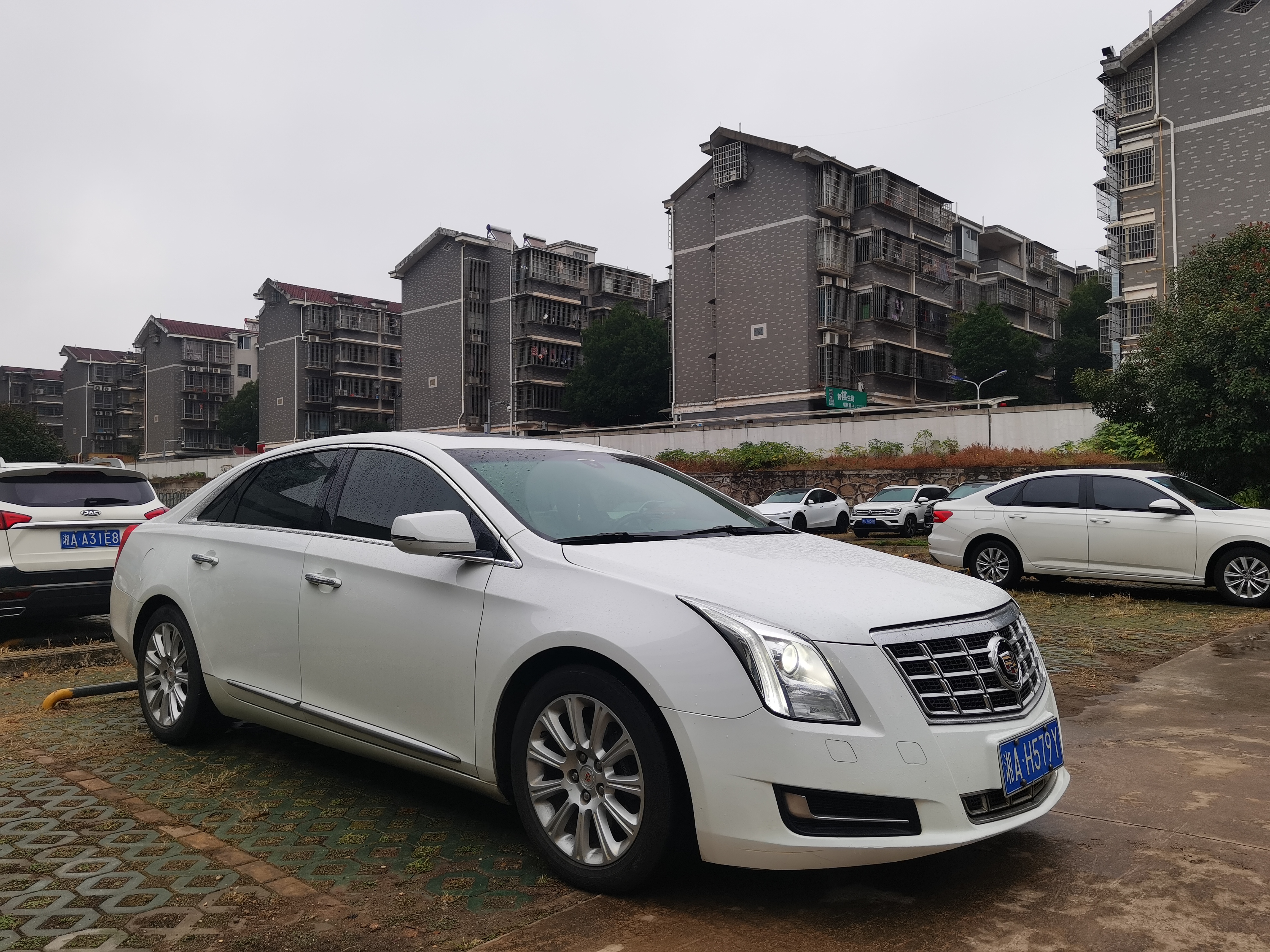 2015 #3 2015 car image #3