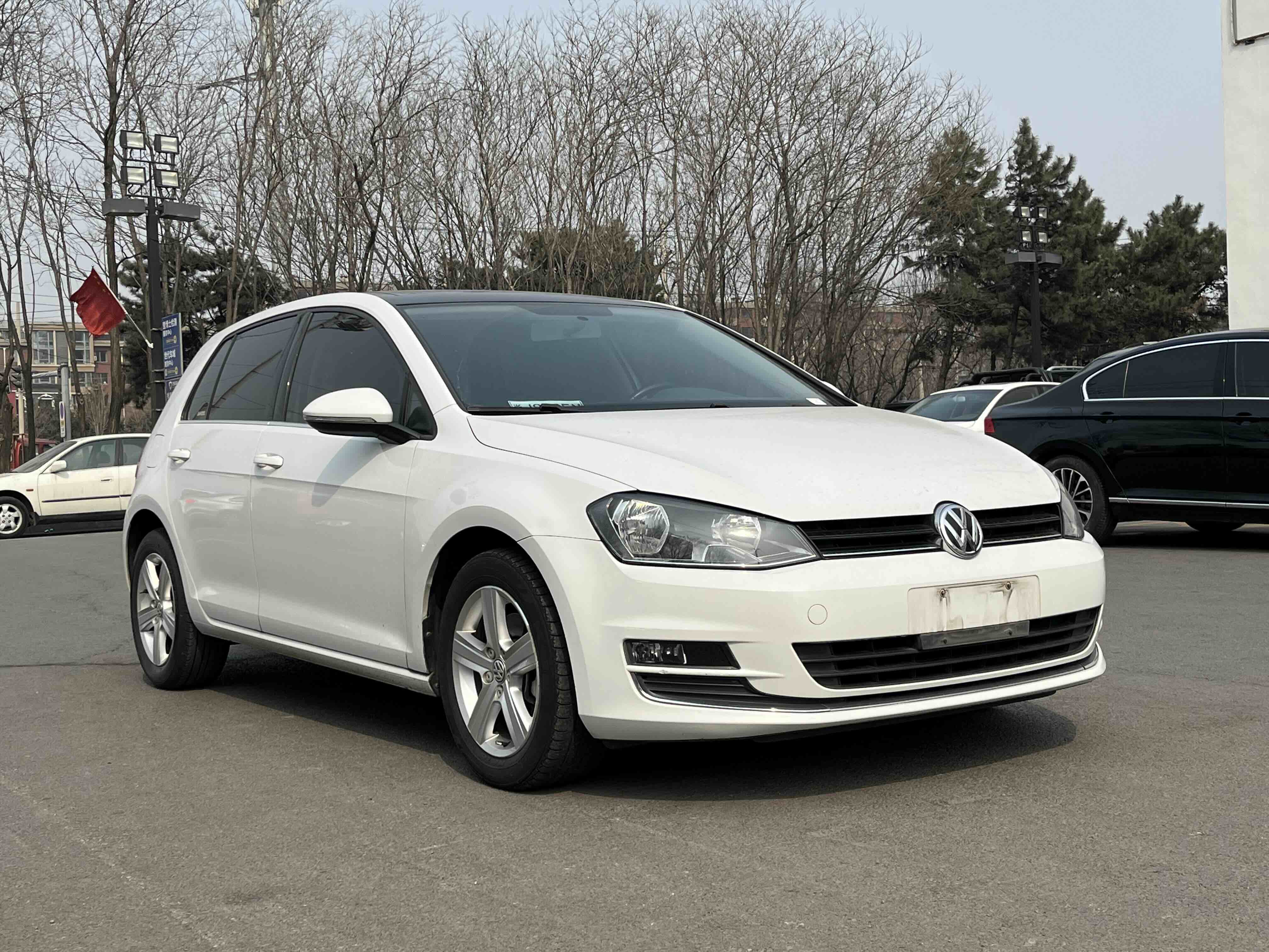 Volkswagen Golf 2014 car image #3