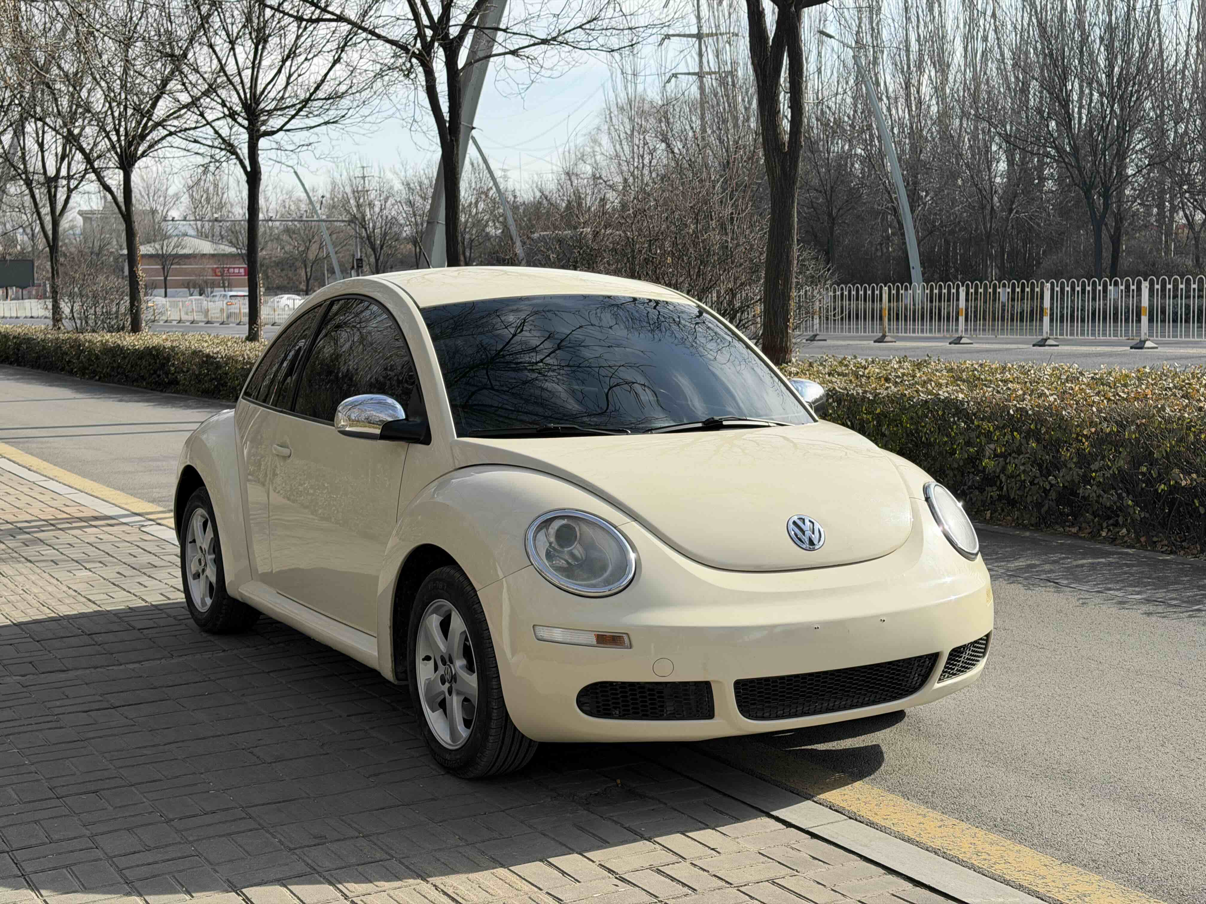 Volkswagen Beetle 2010 immagine di auto #3