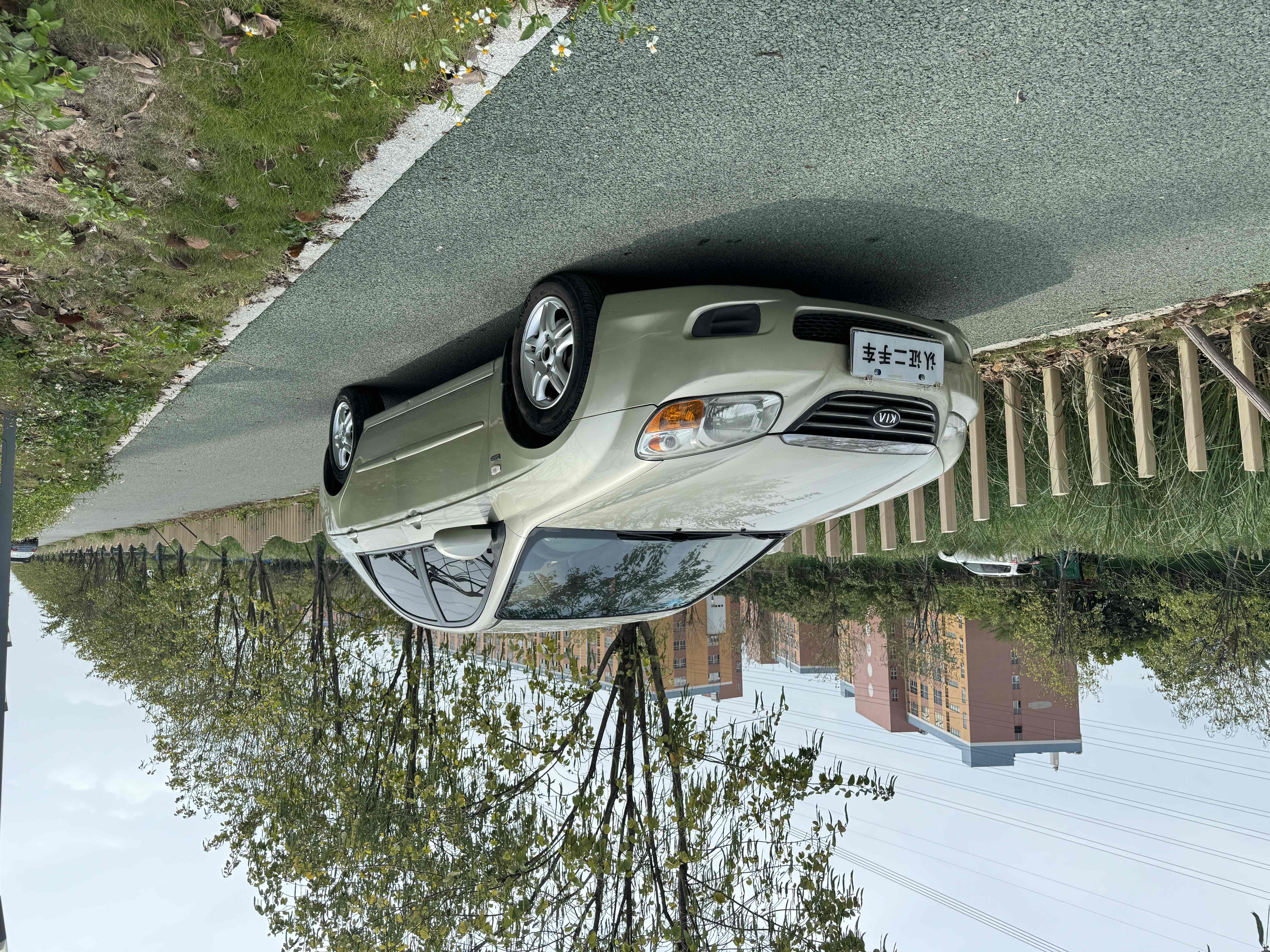 起亚 赛拉图 2008 汽车图片 #3