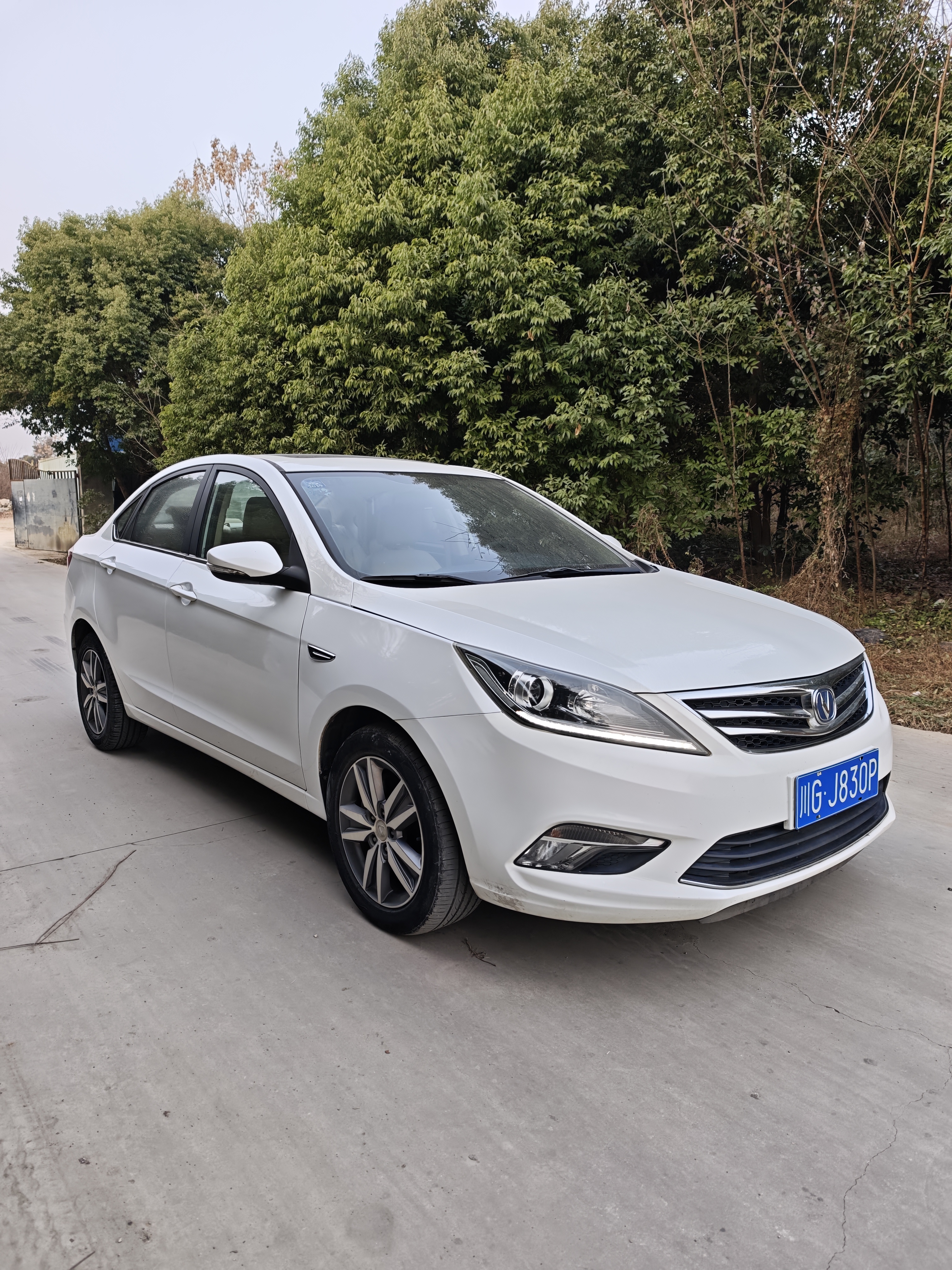 Changan Eado 2017 صورة سيارة #3