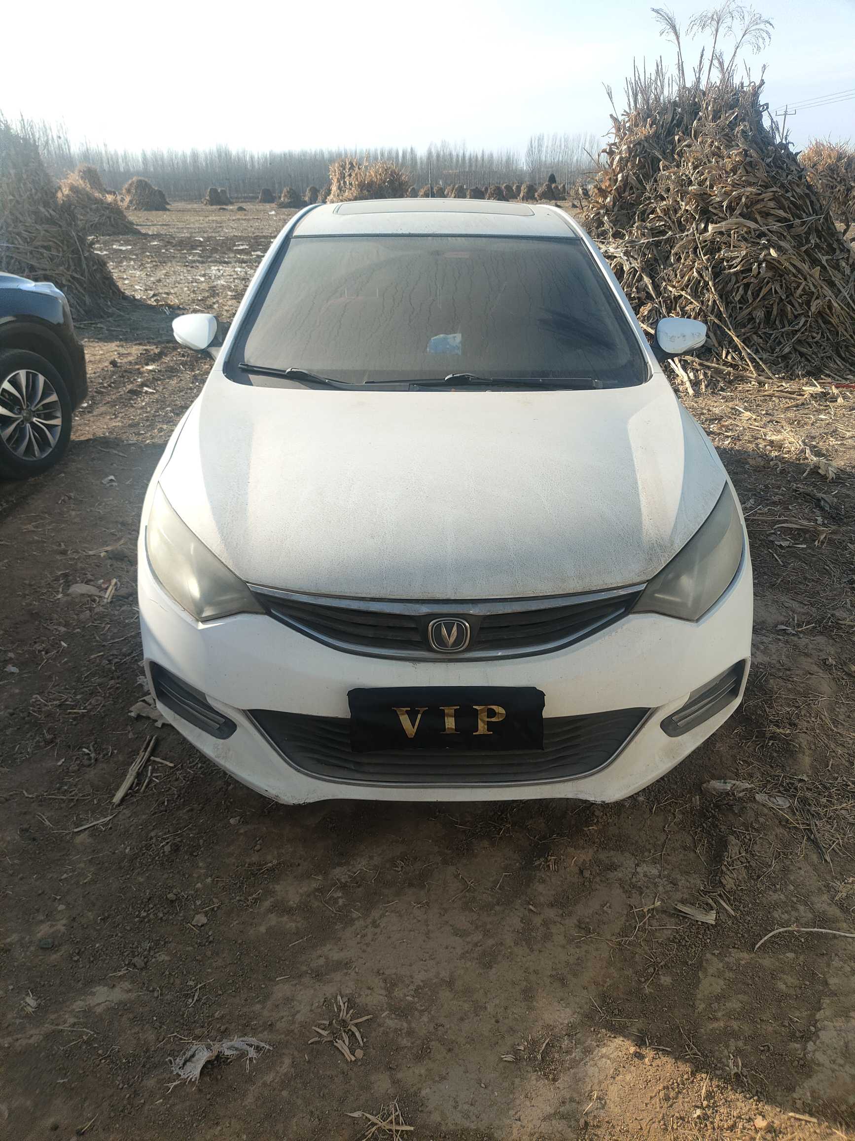 Changan Eado 2014 صورة سيارة #3