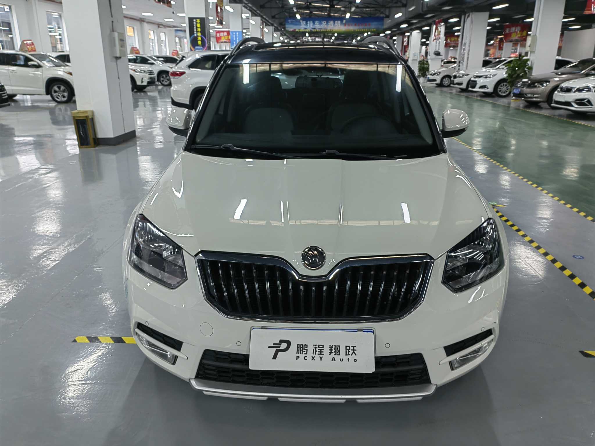 Skoda Yeti 2016 car image #3