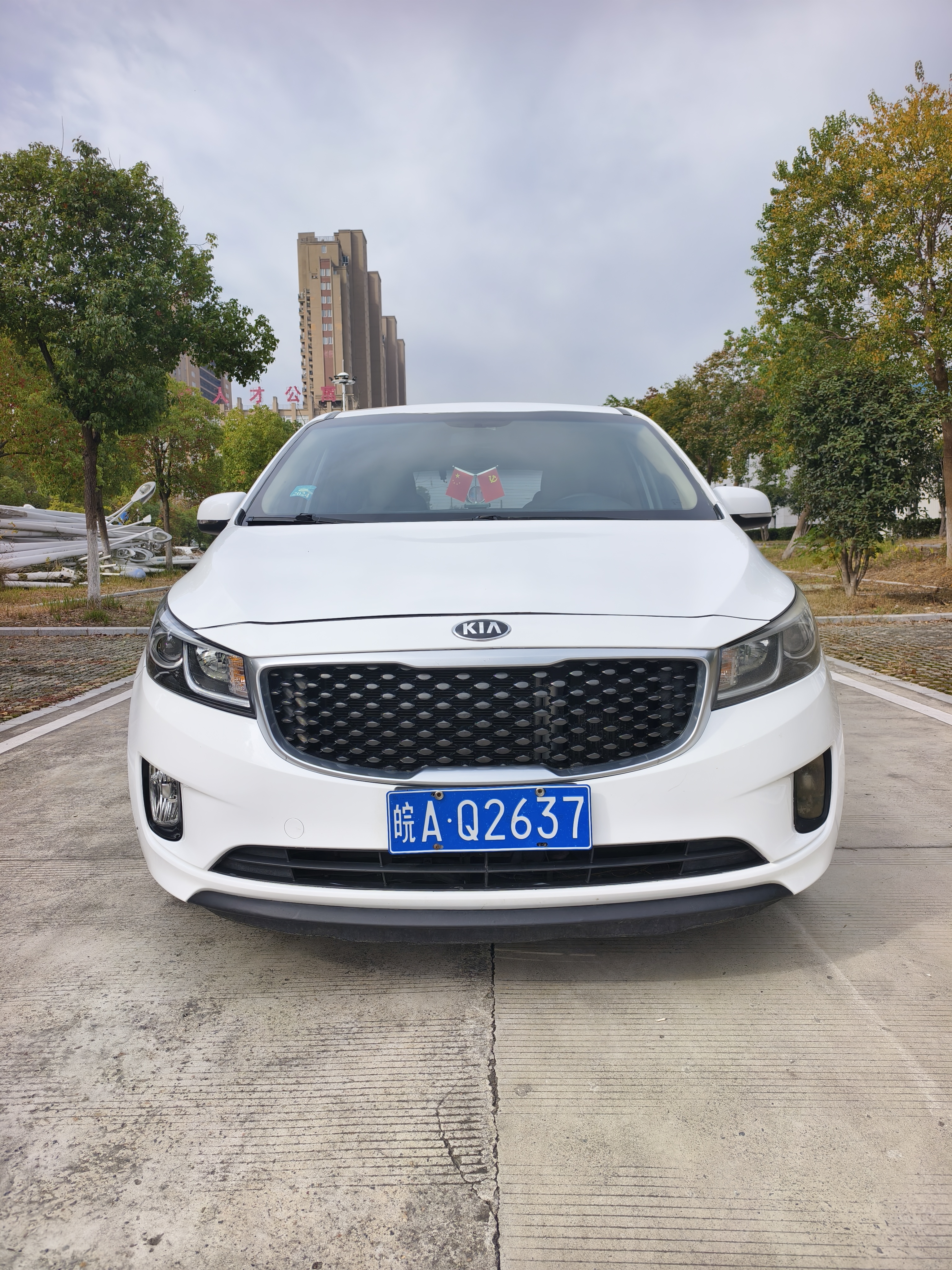 Kia Carnival (Imported) 2016 car image #3