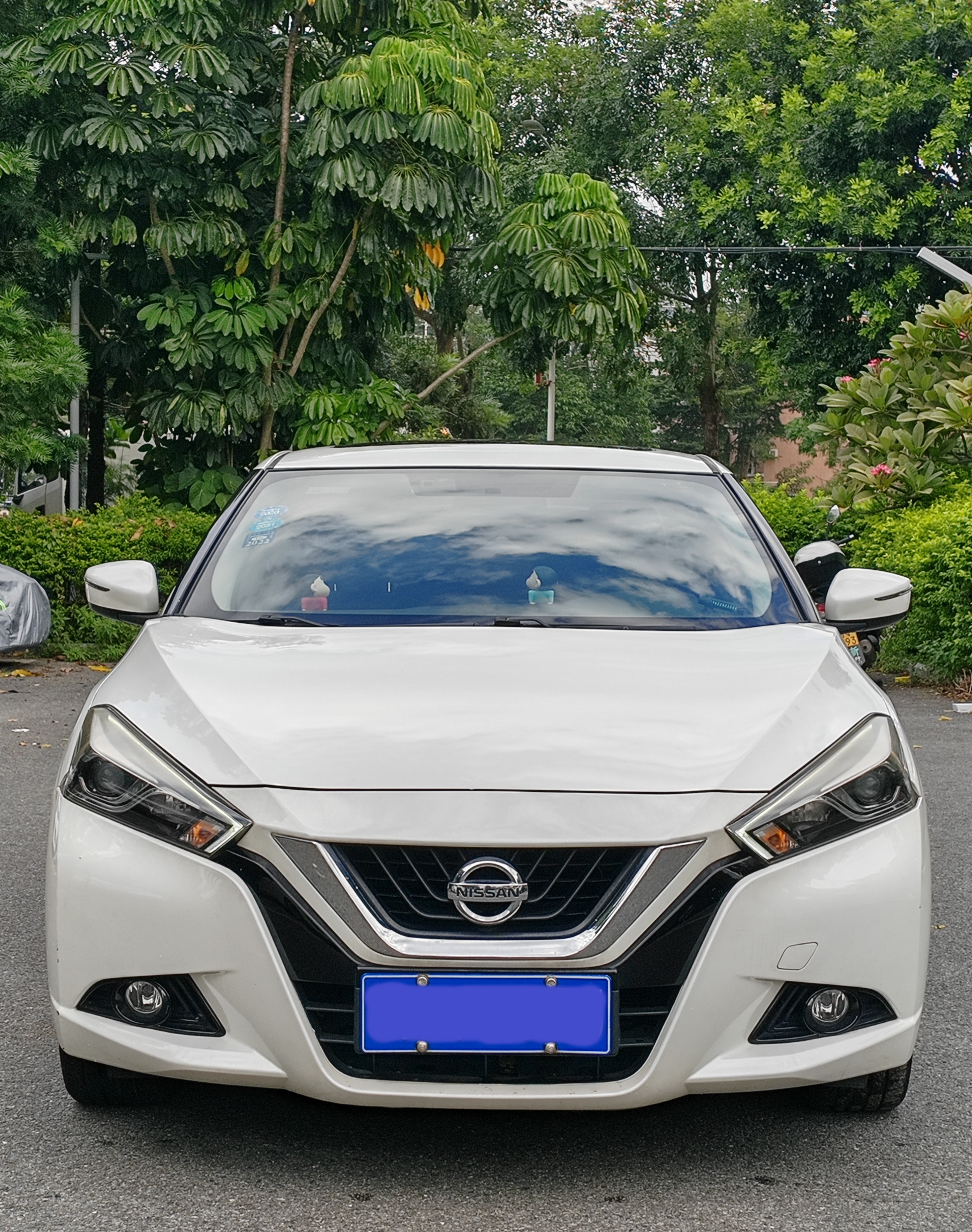 日产 蓝鸟 2018 汽车图片 #3