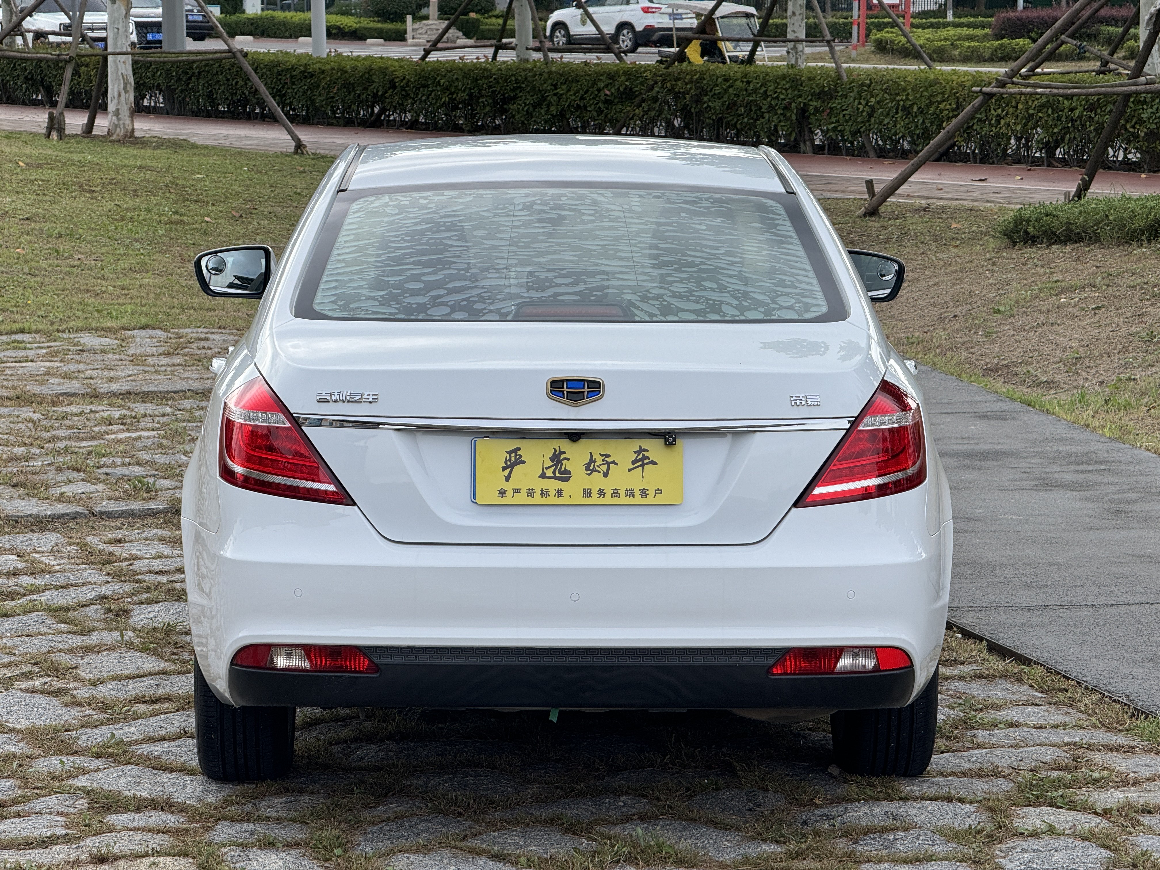 Emgrand 2016 #3 Emgrand 2016 car image #3