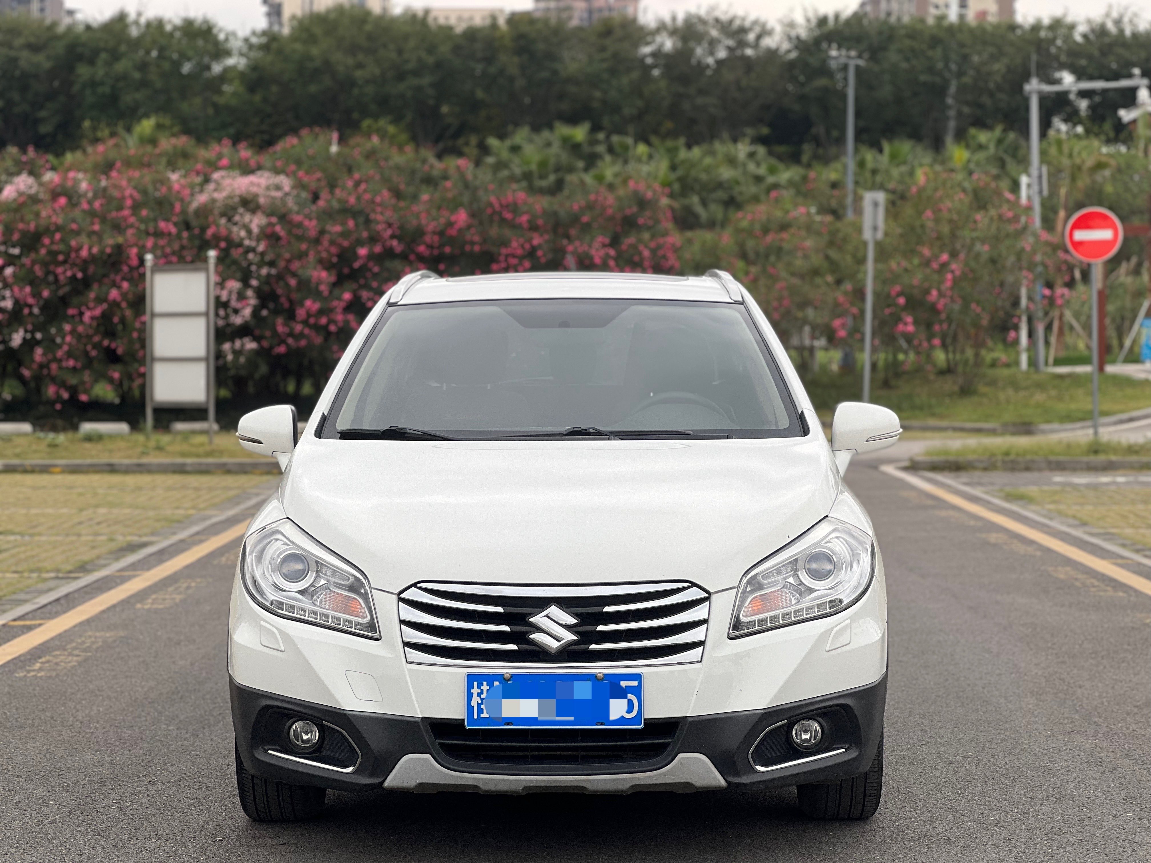 Suzuki S-Cross 2014 immagine di auto #3