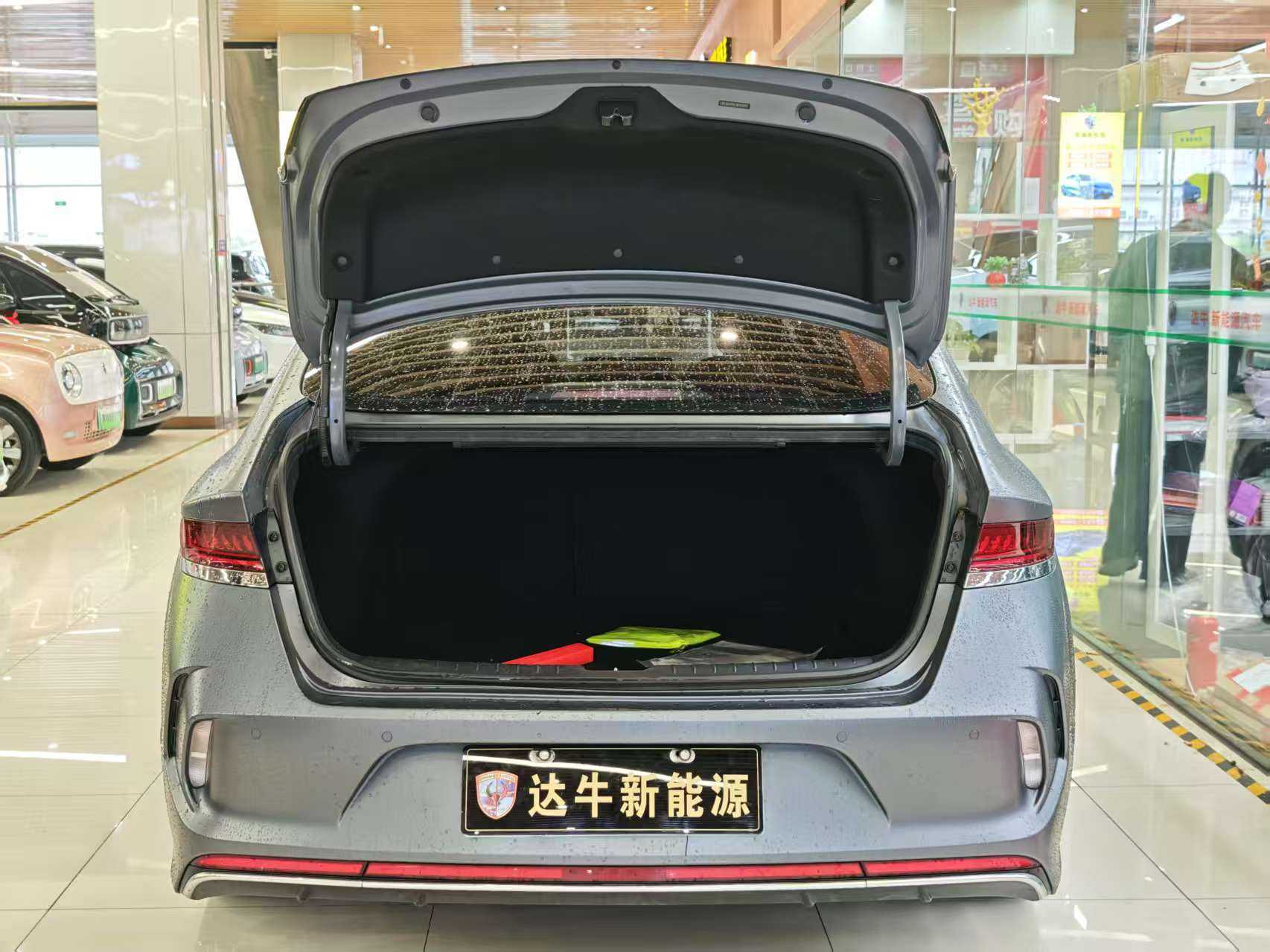 Hyundai Lafesta EV 2020 car image #3