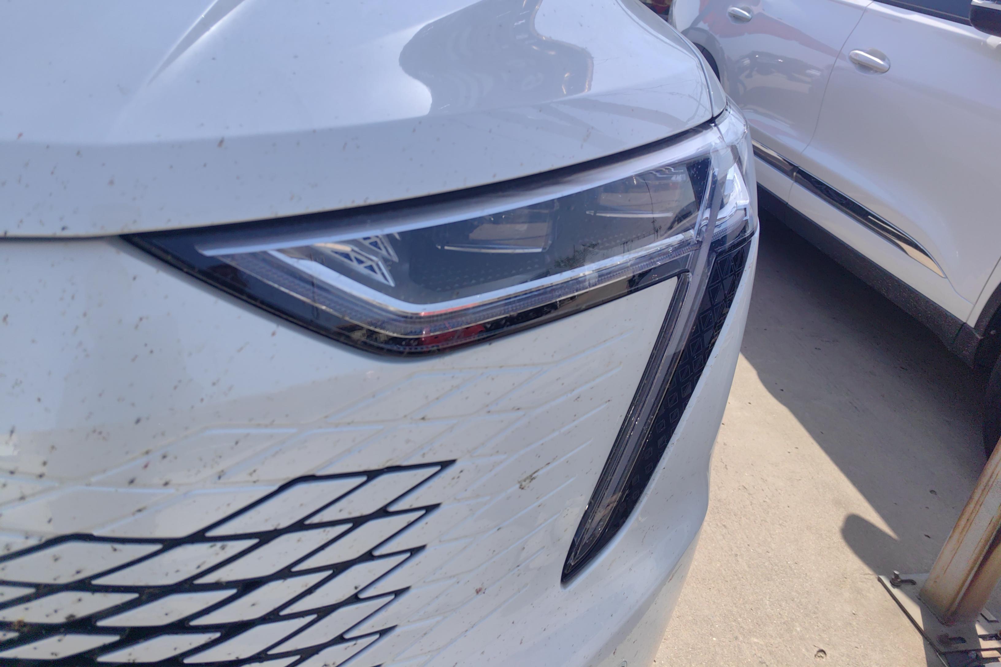 Haval Fierce Dragon MAX 2023 immagine di auto #3