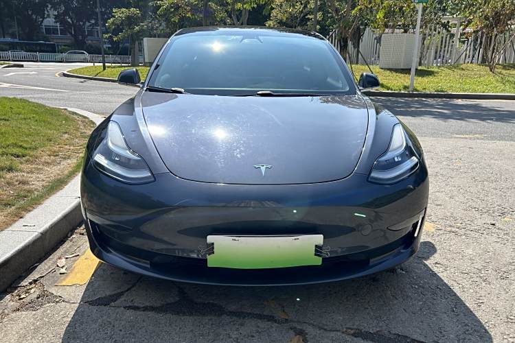 特斯拉 Model 3(进口) 2019 汽车图片 #3