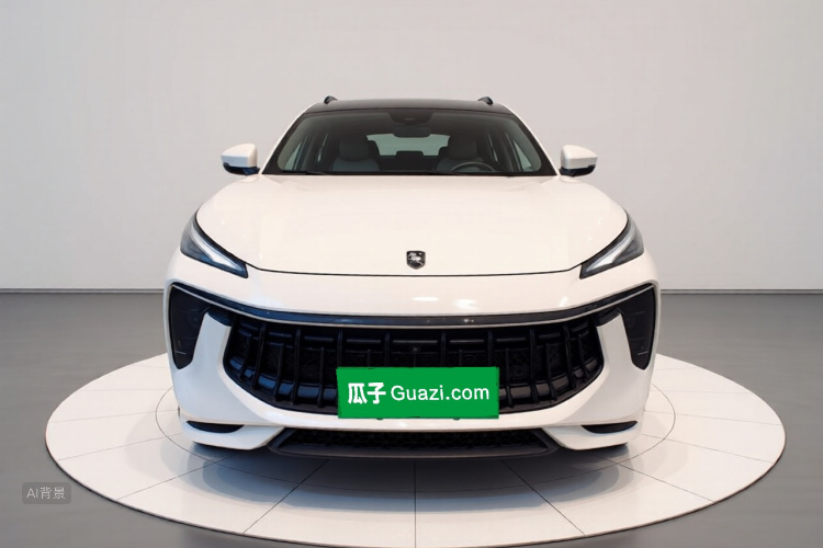 T5 EVO 2021 car image #3
