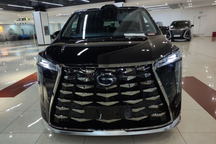 GAC Trumpchi Xiangwang M8 2025 car image #3