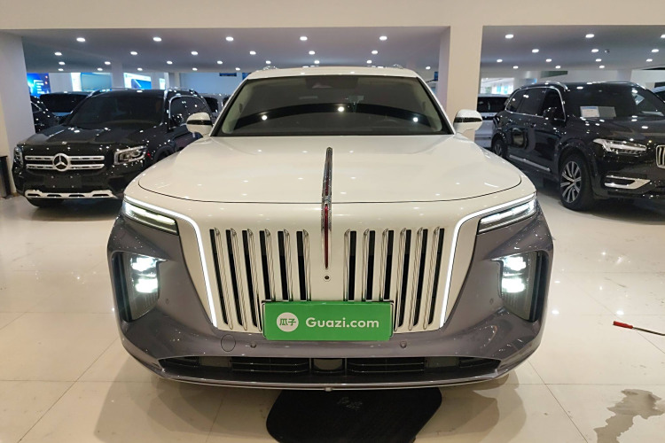 HongQi E-HS9 2022 immagine di auto #3