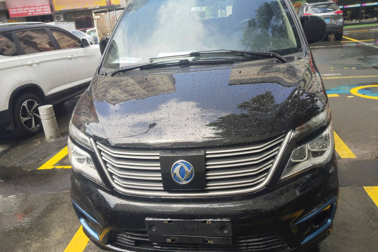 Forthing Lingzhi EV 2020 car image #3