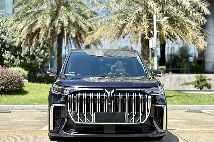 岚图汽车 岚图梦想家 2023 汽车图片 #3