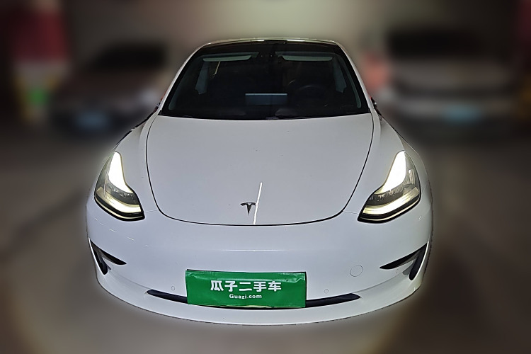 特斯拉 Model 3(进口) 2019 汽车图片 #3