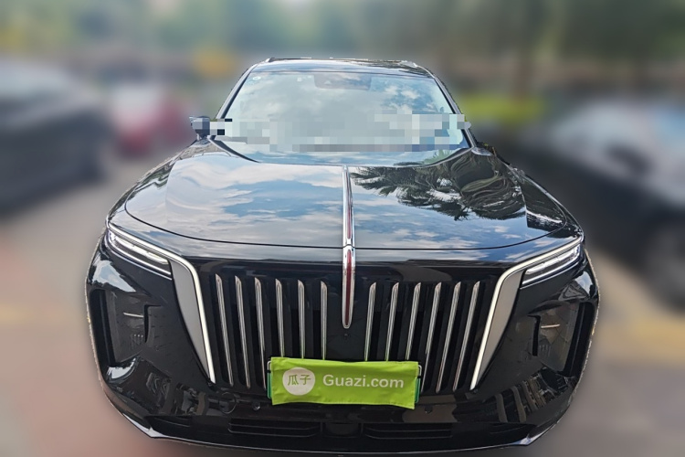 HongQi E-HS9 2022 car image #3