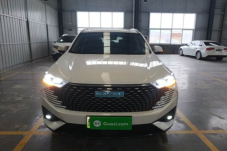 Haval H6 2022 immagine di auto #3